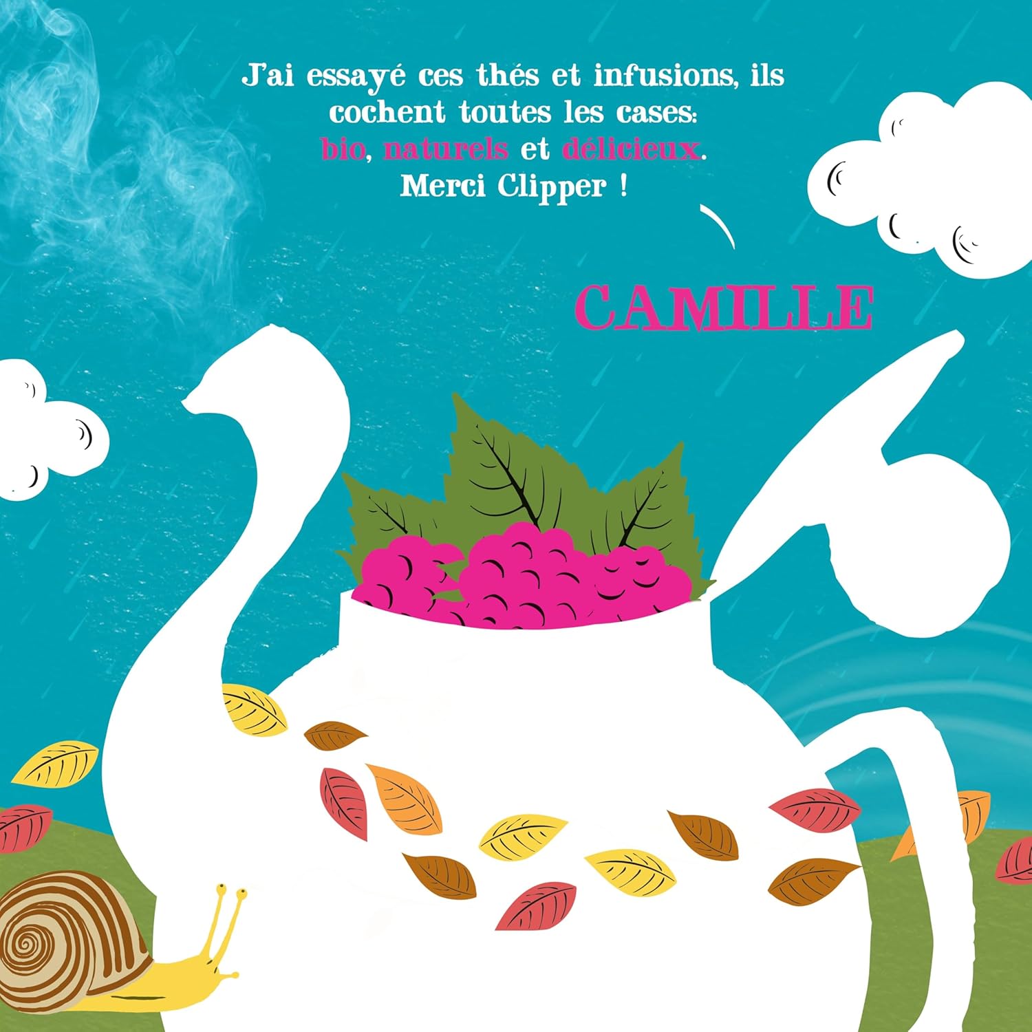 Clipper Thé Vert Bio Splendid Framboise Menthe: 20 Sachets Bio pour une Délicieuse Pause - Description