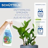 LERAVA Réz és Kén Fungicid Spray 700ml - Lisztharmat Elleni Permetszer Rózsához, Szőlőhöz, Gyümölcsfákhoz 6