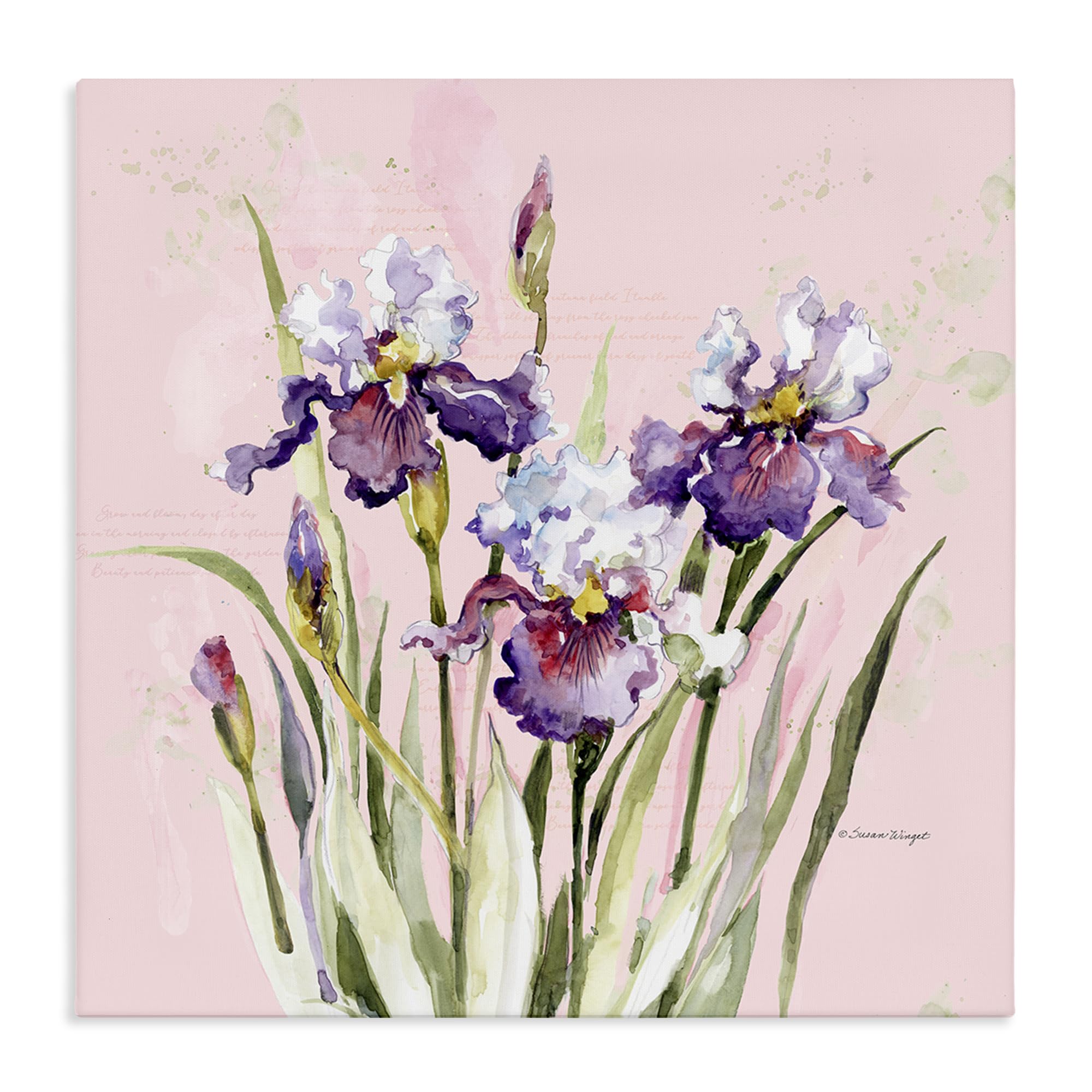 'Purple Irises on Pink'| Canvas Art