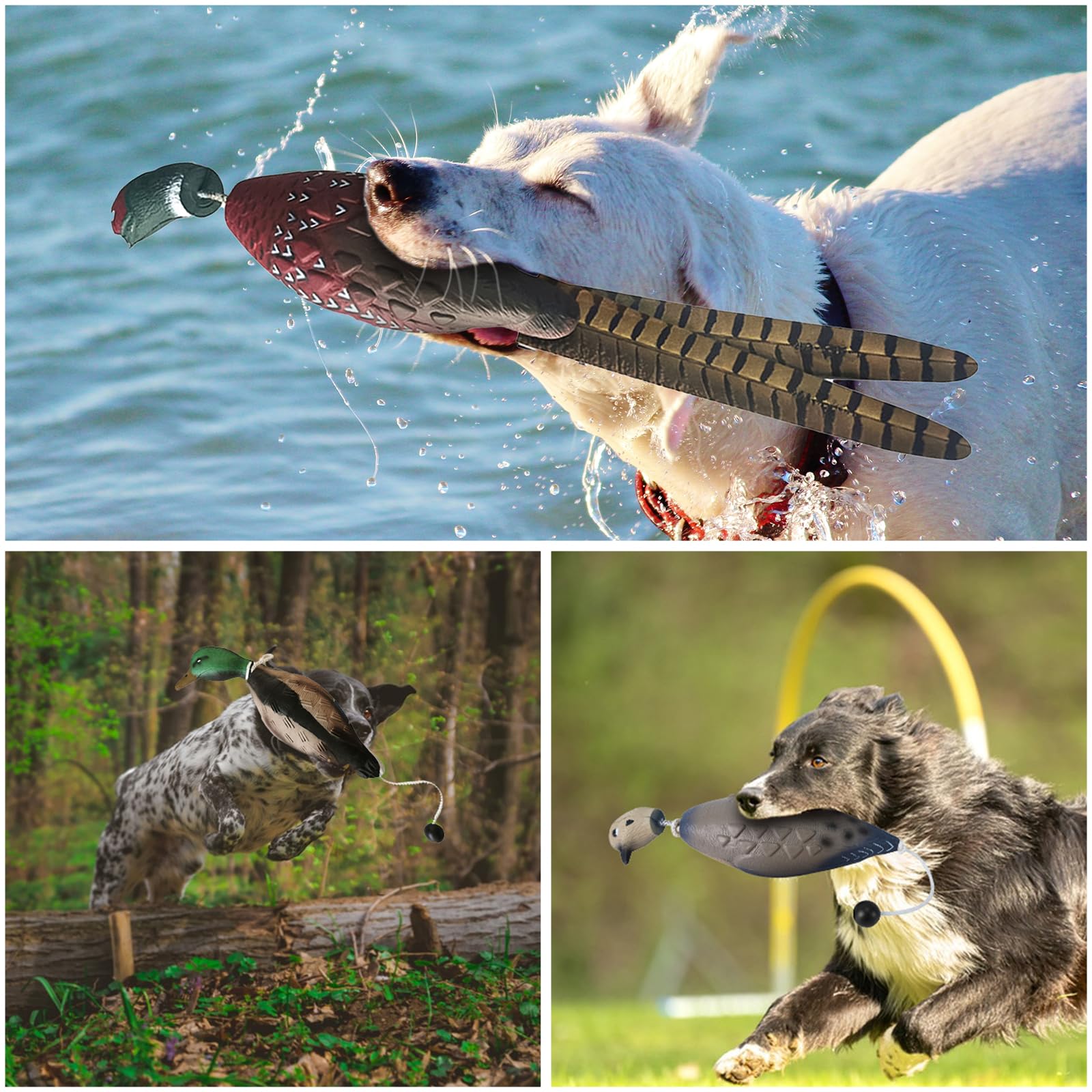 Ente Fasan Taube, Hundetraining, Taubenschnuller für Hundetraining Dummy Bumper Retriever Training Schwimmend De-ad Vogel Fowl Trainer Jagd Retriever Hundetraining Zubehör