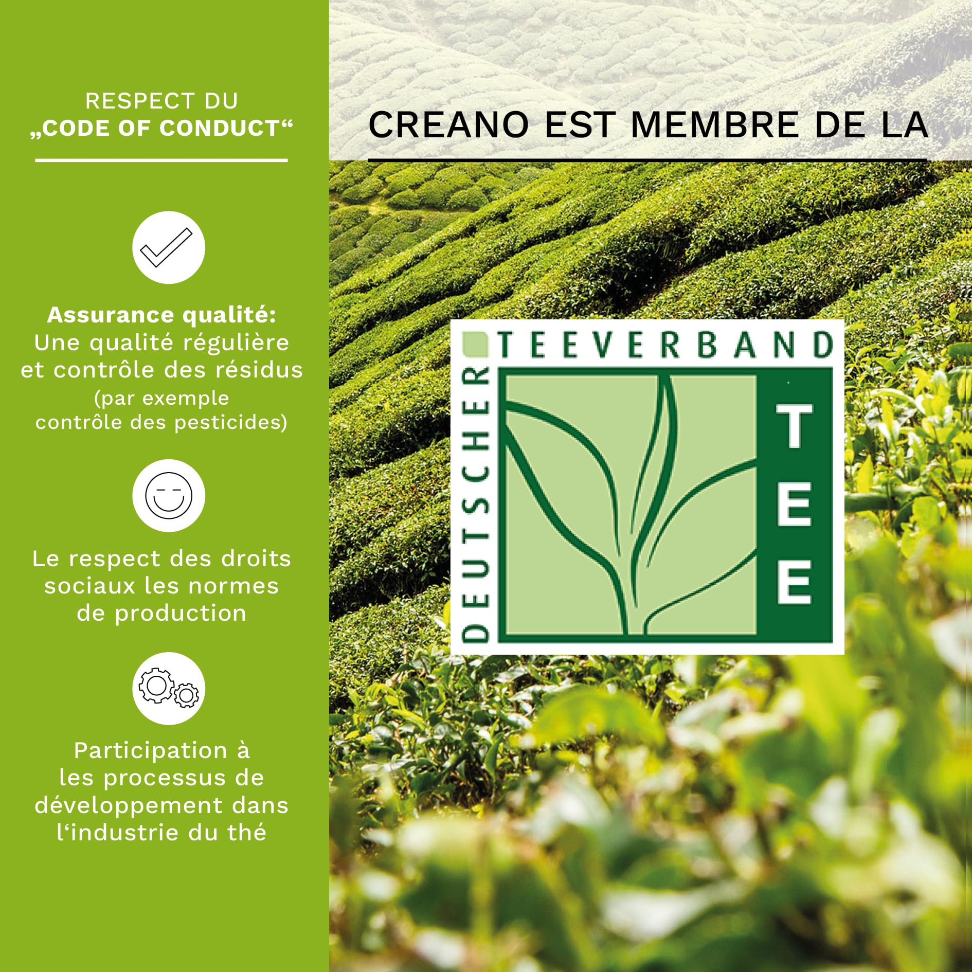 Creano „Fleurs de Thé“ Verts 6 pcs Boîte Cœur – Théière en Verre 500ml sans goutte – 6 variétés de thé vert – Cadeau romantique