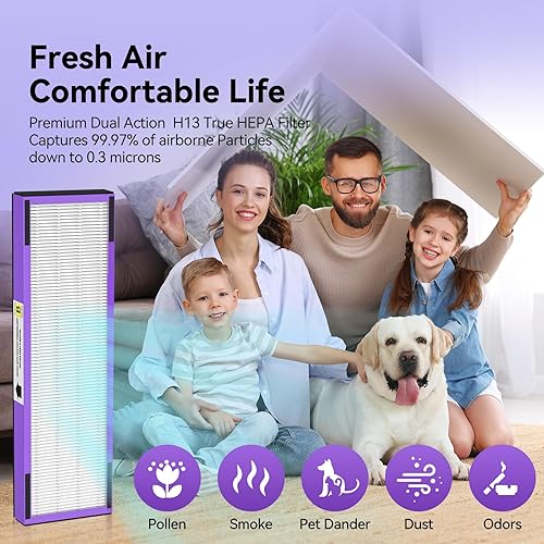 Miniatura 6 de Paquete de 4 filtros HEPA FLT4850PT B de repuesto para mascotas compatibles con purificador de aire G-Guardian AC4825 AC4825E AC4850PT AC4300 AC4800