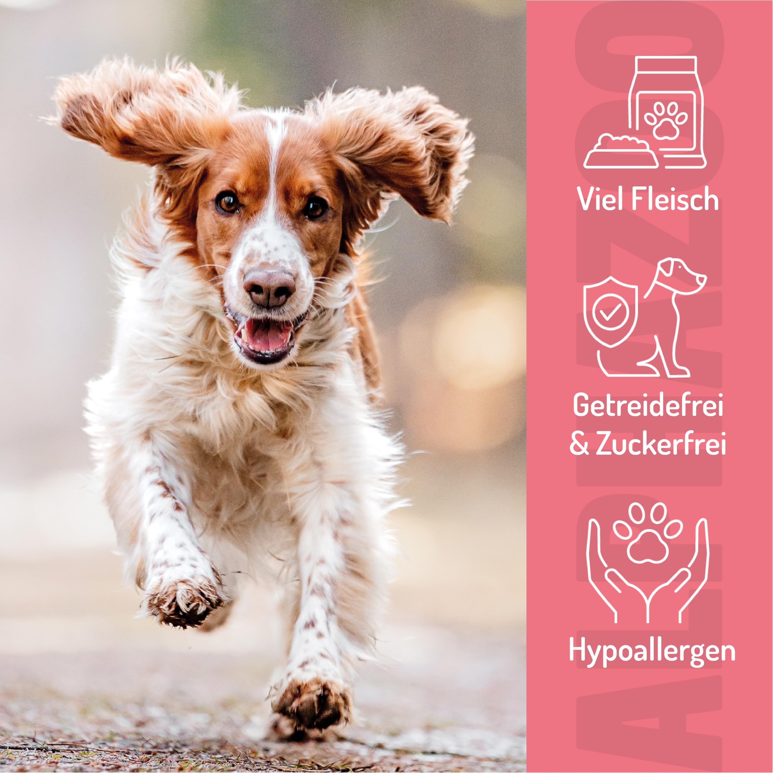 alphazoo Schwing Die Hufe 3 x 65g - Soft Hundesnack aus 95% Pferd - getreidefreie Trainingsleckerli für Hunde - weiche Snacks ohne künstliche Zusätze - ideale Belohnung und als Trainings Leckerlies