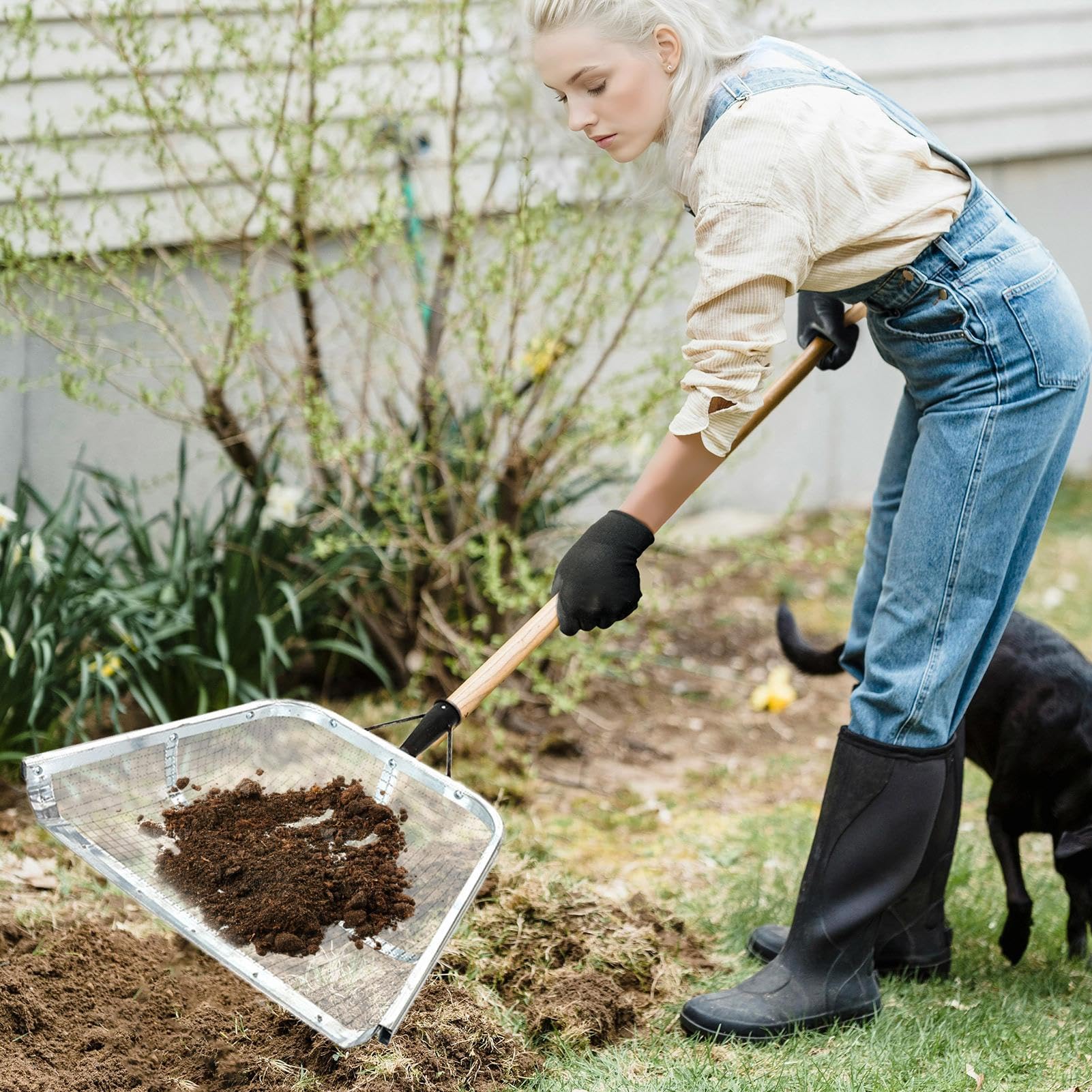 Filtre à Tamis à Sable Pour Reptiles Pelle à Sable Pour Reptiles
