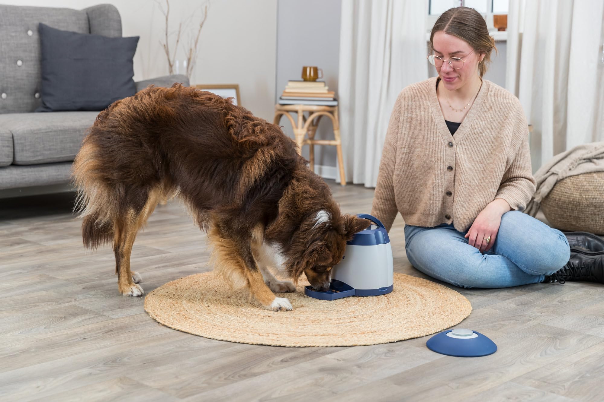 TRIXIE Dog Activity Memory Trainer 3.0 – juego estratégico interactivo para perros – estimula la resolución de problemas & el enriquecimiento mental – 20 × 24 cm