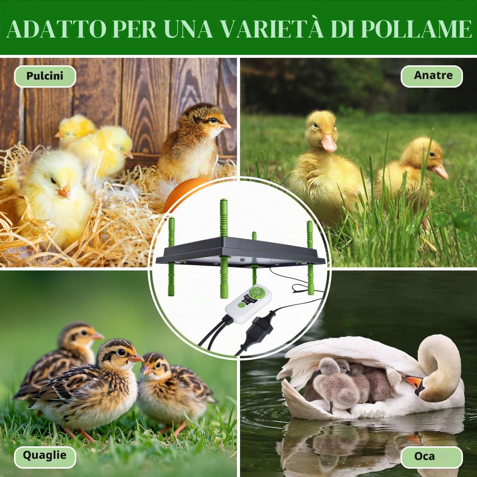 Chioccia Artificiale per Pulcini con Regolatore di Temperatura 25x30cm Piastra Riscaldante Lampada Riscaldante per Polli Anatre