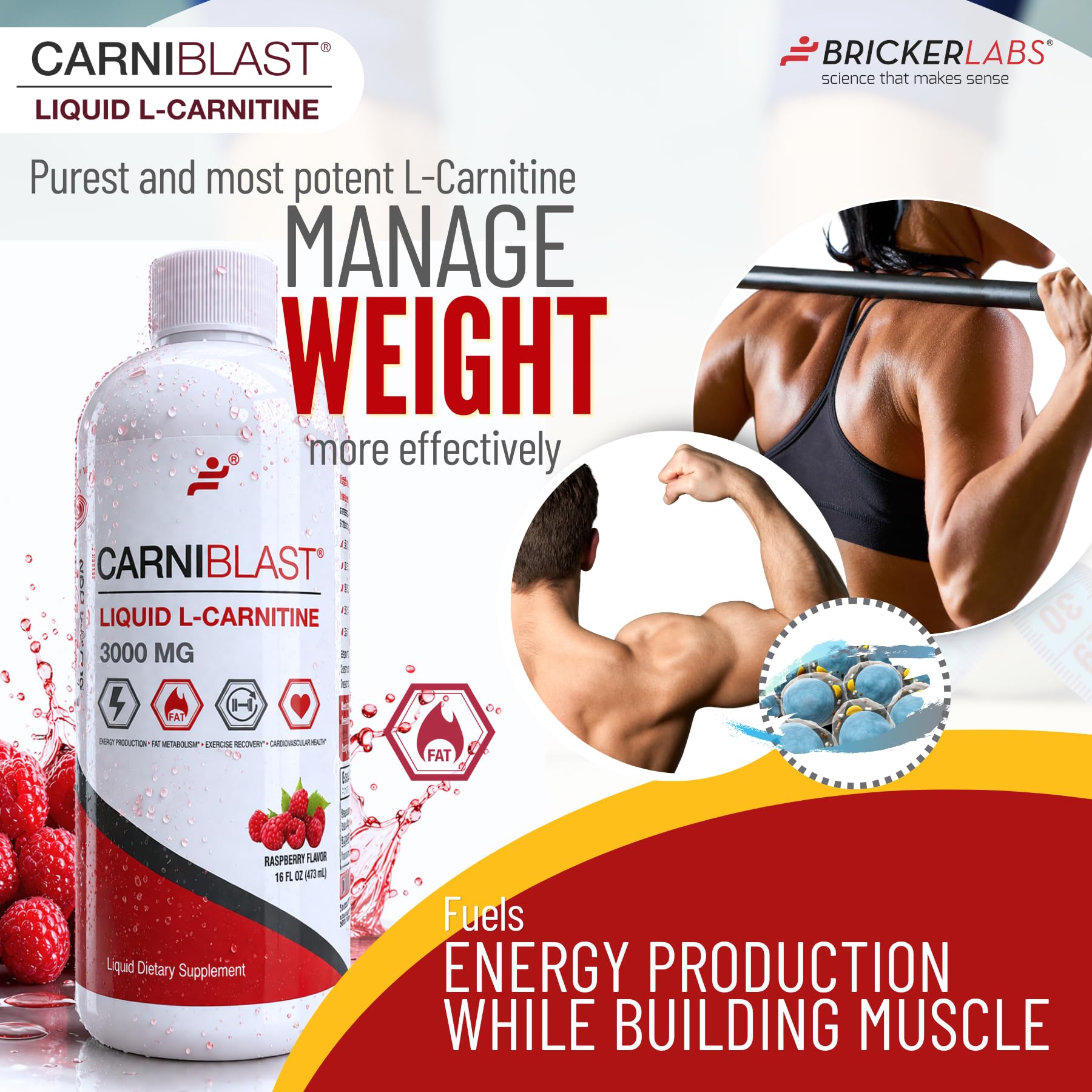 Amazon.com: Bricker Labs CARNIBLAST Liquid L-Carnitine 3000mg, Premium L  Carnitine Carnipure, Energy Nutrition, Energy Supplement and Energy  Booster, Raspberry, 16 fl oz : Health & Household