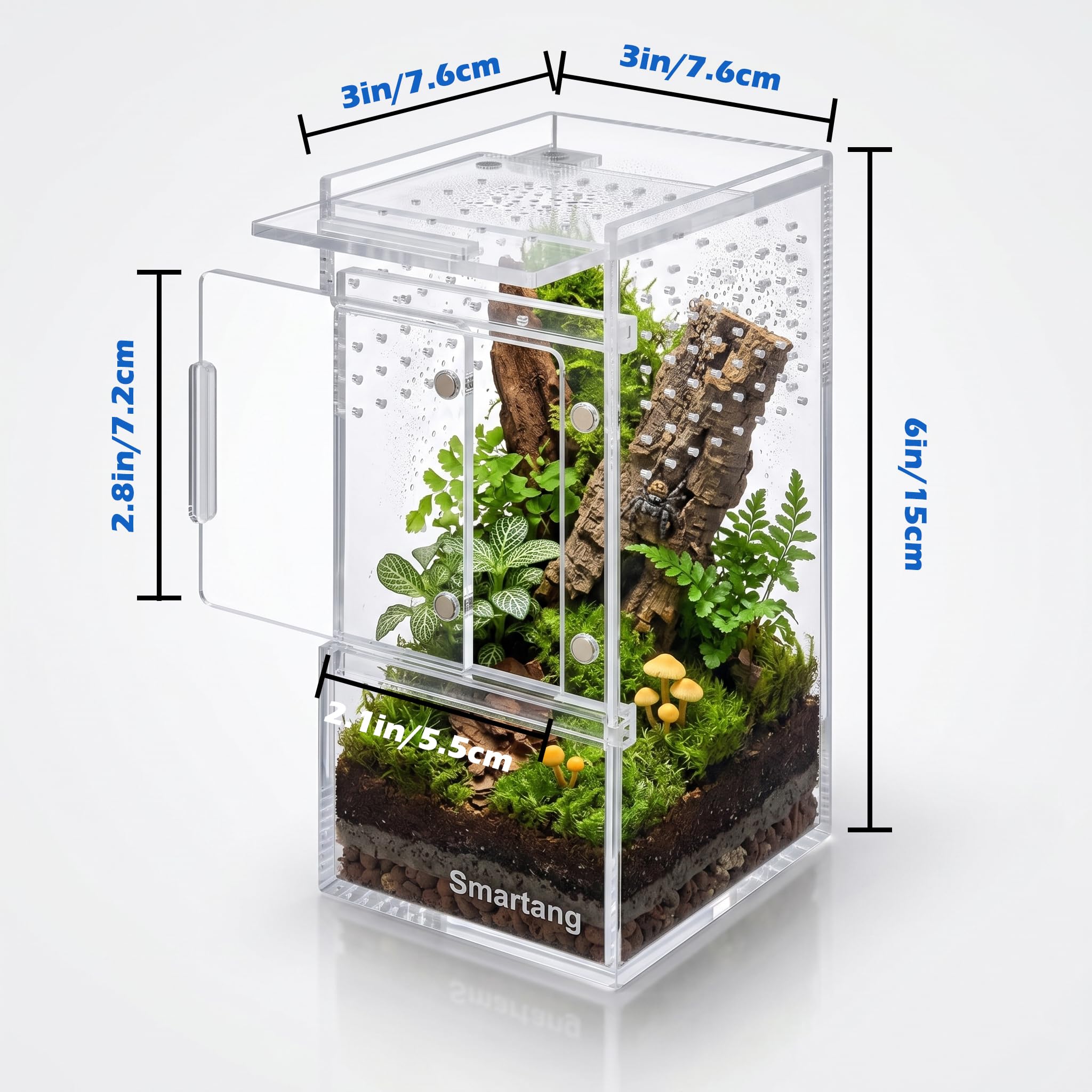リ*サ様 layered lace tank チョウピラコ Amazon.com : 【Pre-Assembled】 Jumping Spider Enclosure(3