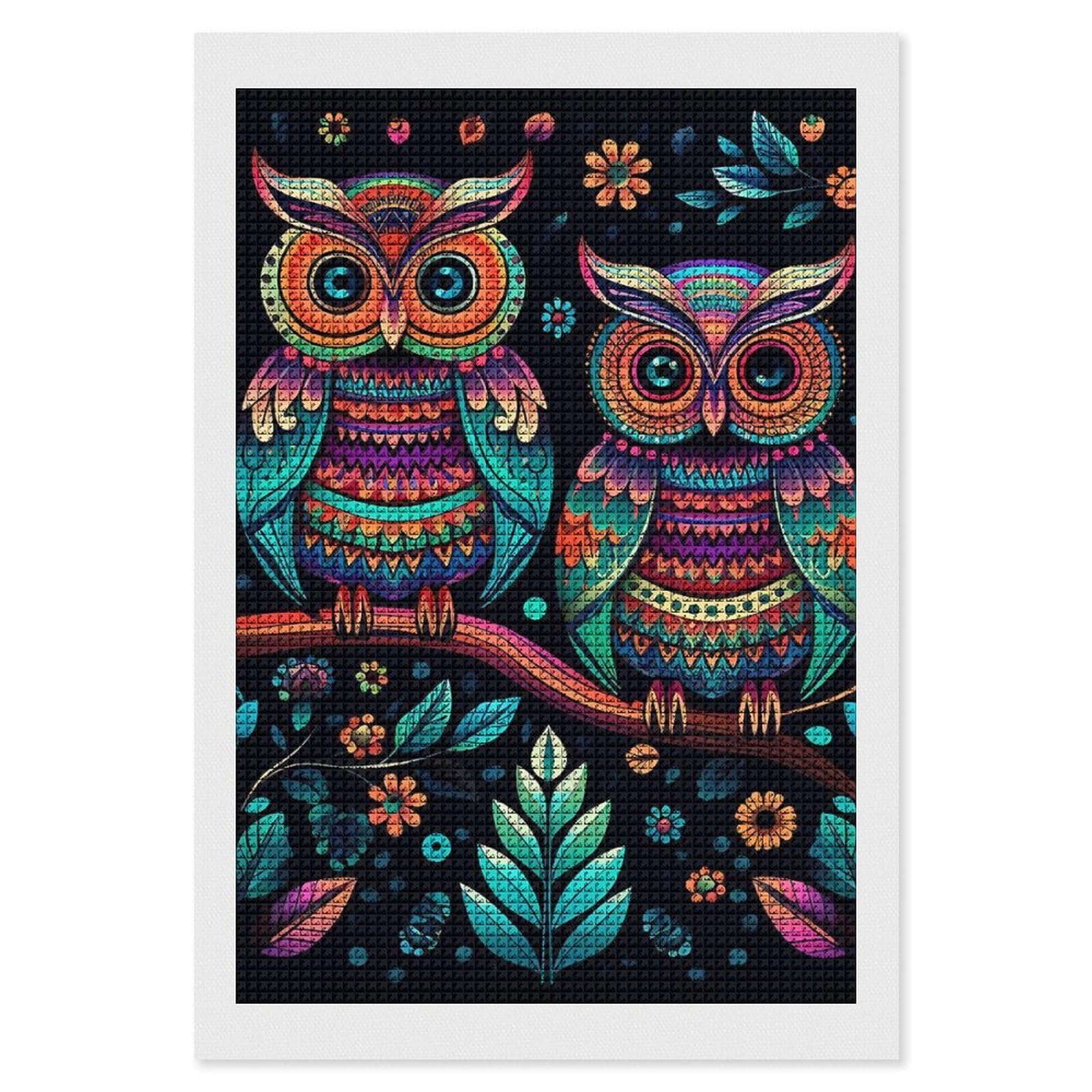 Colorful Owl Pictures Diamond Art Kits for Adults, DIY 5D Diamonds Painting Kits for Beginner, Round Full Drill Diamond Dots Painting, 8"x12" Diamonds Pictures Gem Art and Crafts Wall Decor