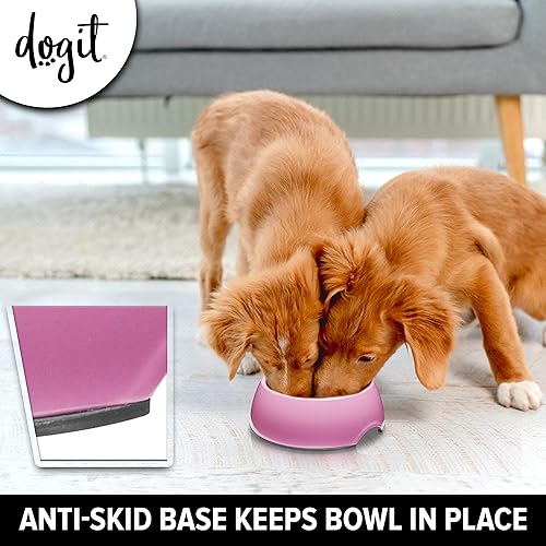 Miniatura 6 de Dogit Go lenta anti-gulping tazón para perro, S, Rosado