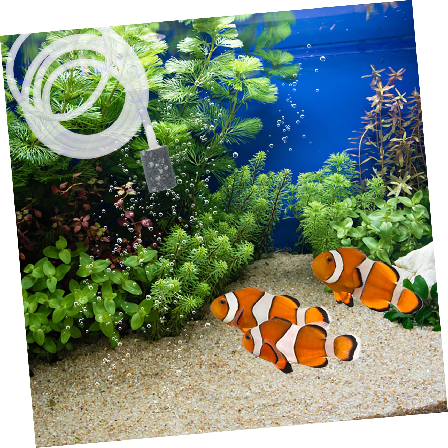 3 Piezas De Oxígeno USB De Gas Tanque USB Oxígeno De Aireador Acuario Aireador De Tanque De Peces De Oxígeno del e De Peces De e