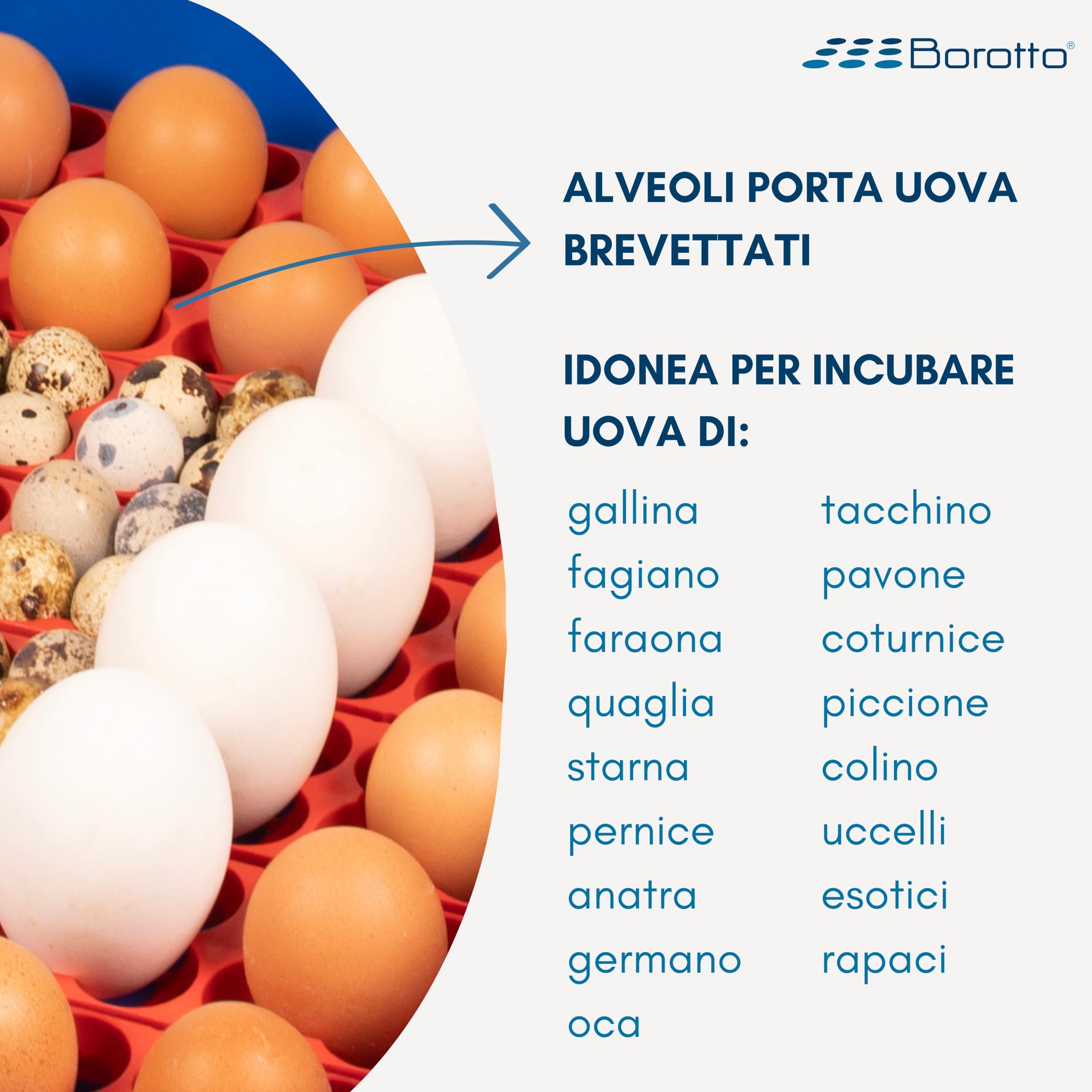Borotto Lumia Expert | Incubatrice per Uova Automatica con Girauova Automatico, Controllo Temperatura e Umidificatore Automatico Sirio | Made in Italy (56)