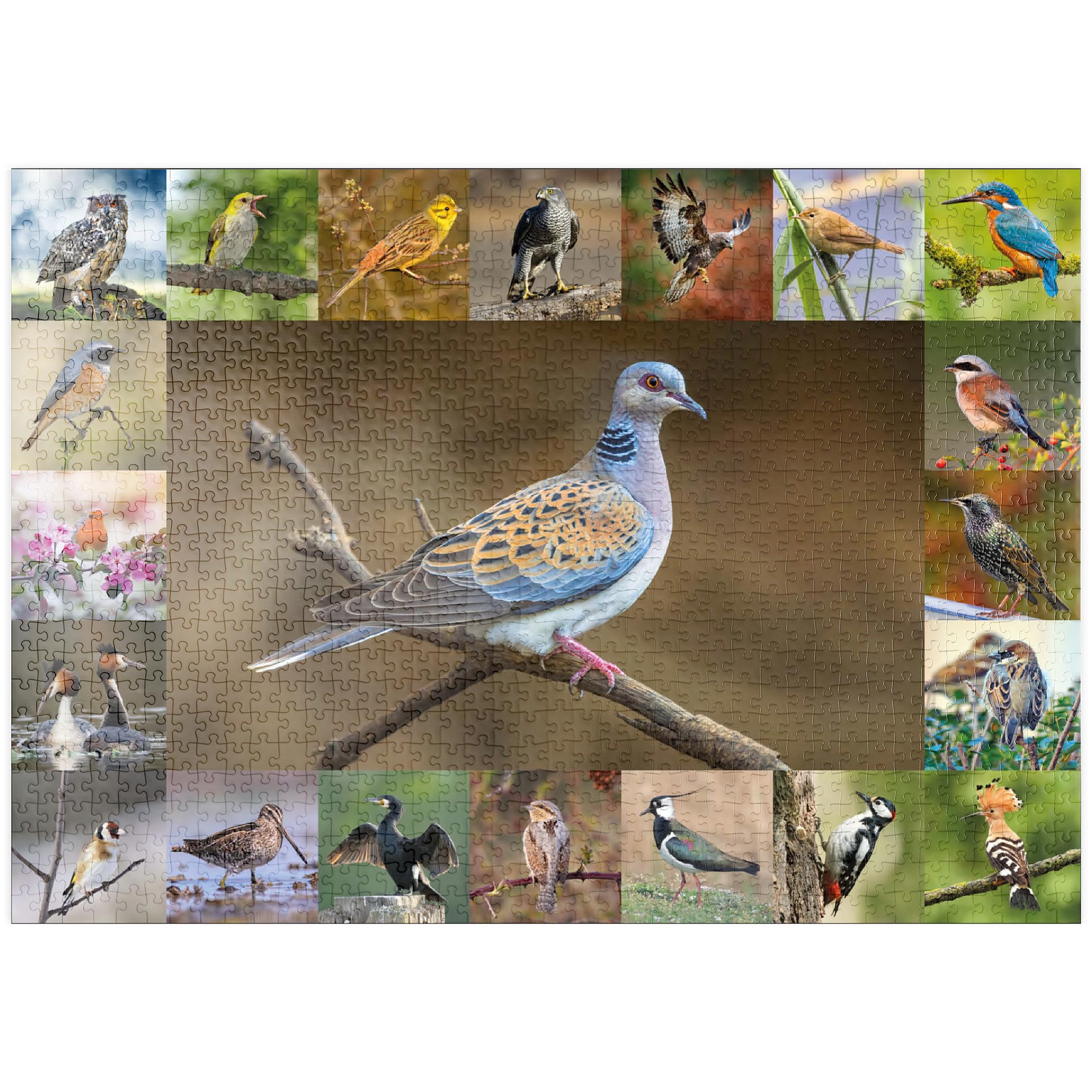 MyPuzzle La Noche Estrellada (1889) Por Vincent Van Gogh – Premium 500 Piezas Puzzle – Colección Especial MyPuzzle
