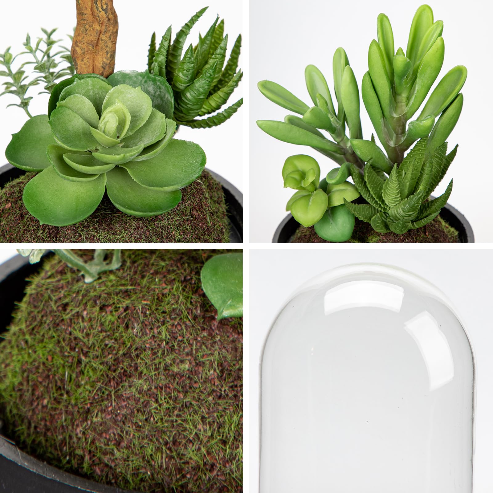 2 piante grasse artificiali in campana di vetro trasparente, 15 cm, piccole piante grasse finte con muschio, pianta decorativa per interni, ufficio, mensola, davanzale, centrotavola
