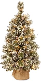 National Tree Company Pre-lit Artificial Mini Christmas Tree | Includes Small White LED Lights, White Tipped Cones, Glitter Branches Pine Cones and Cloth Bag Base | Glittery Bristle Pine - 3 ft