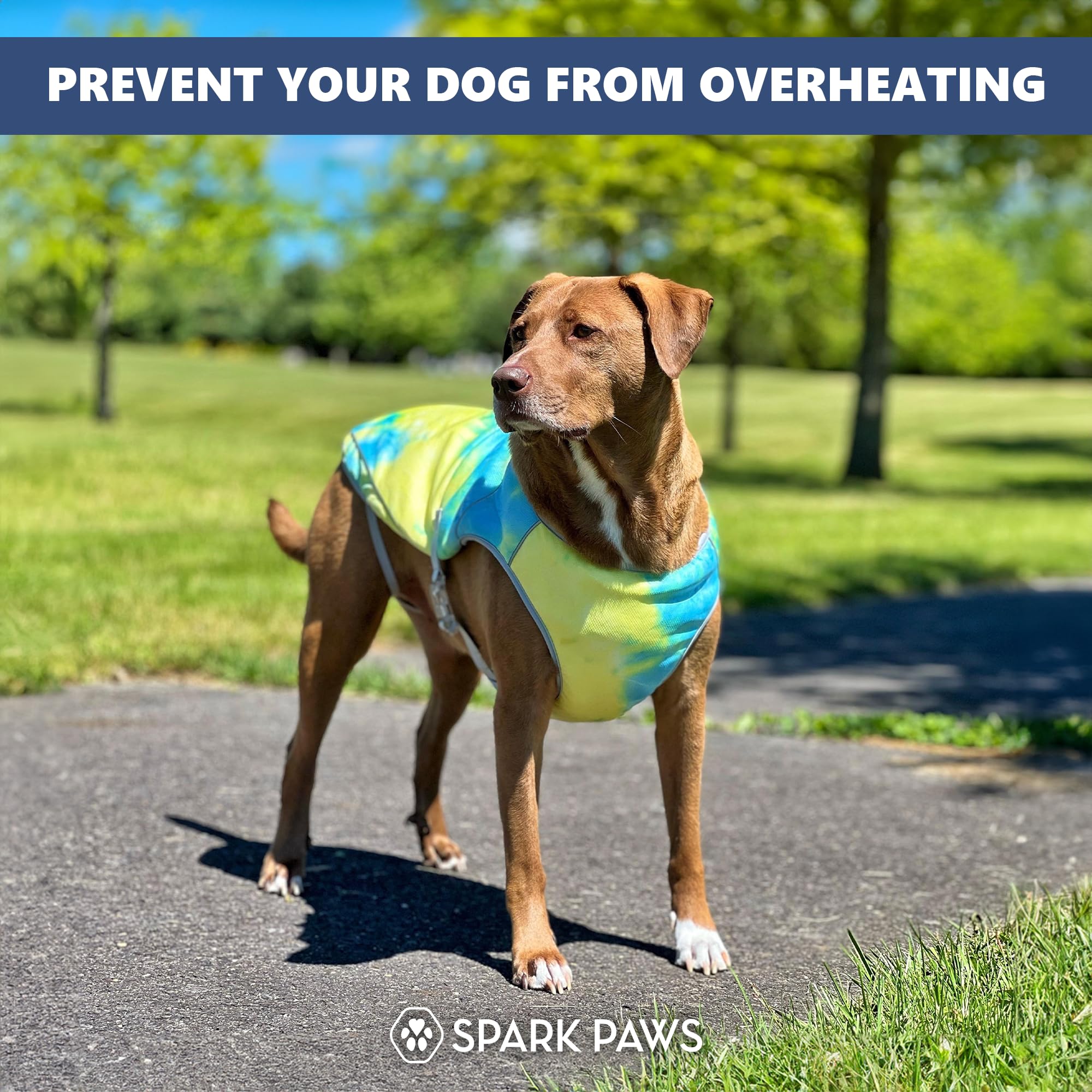 Spark Paws Gilet rafraichissant pour chien - Soulage la chaleur d'été - Léger - Protection solaire SPF 50 - Tempête tropicale - Taille 2XL