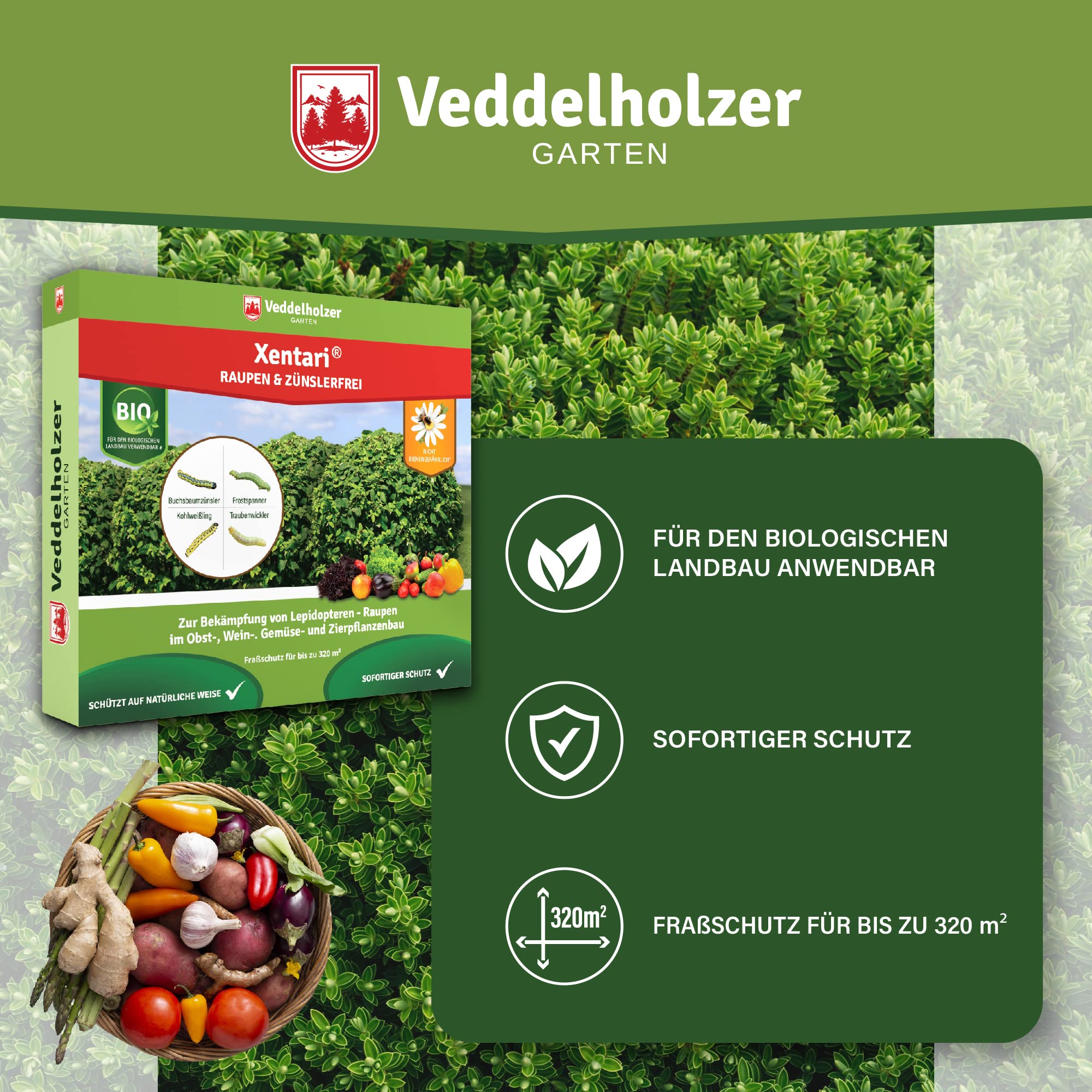 Veddelholzer Xentari® 16 x 2g Raupen & Zünslerfrei gegen Buchsbaumzünsler, Raupen & Schadraupen. Xentari Raupenfrei Buchsbaumzünsler Spritmittel für Bio Landbau geeignet Nicht Bienengefährlich.