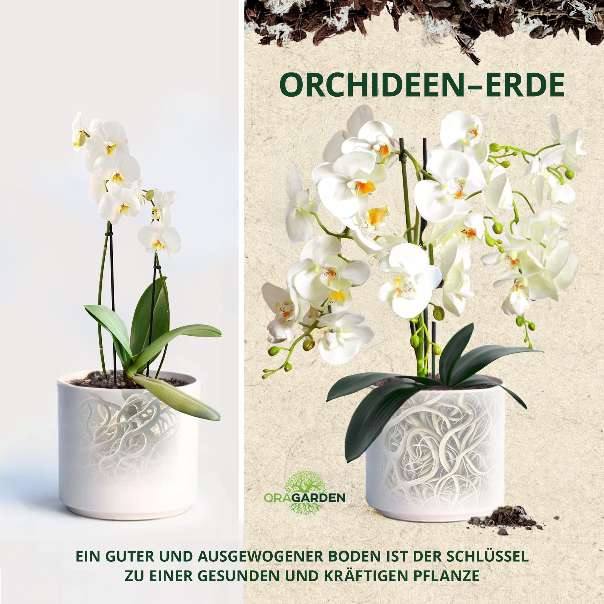 ORAGARDEN Orchideenerde fr Zimmerpflanzen und Garten - 48L  Orchideensubstrat fr Pflanzen, Palmen, Blumen - 4 Komponenten Blumenerde :  Amazon.de: ...