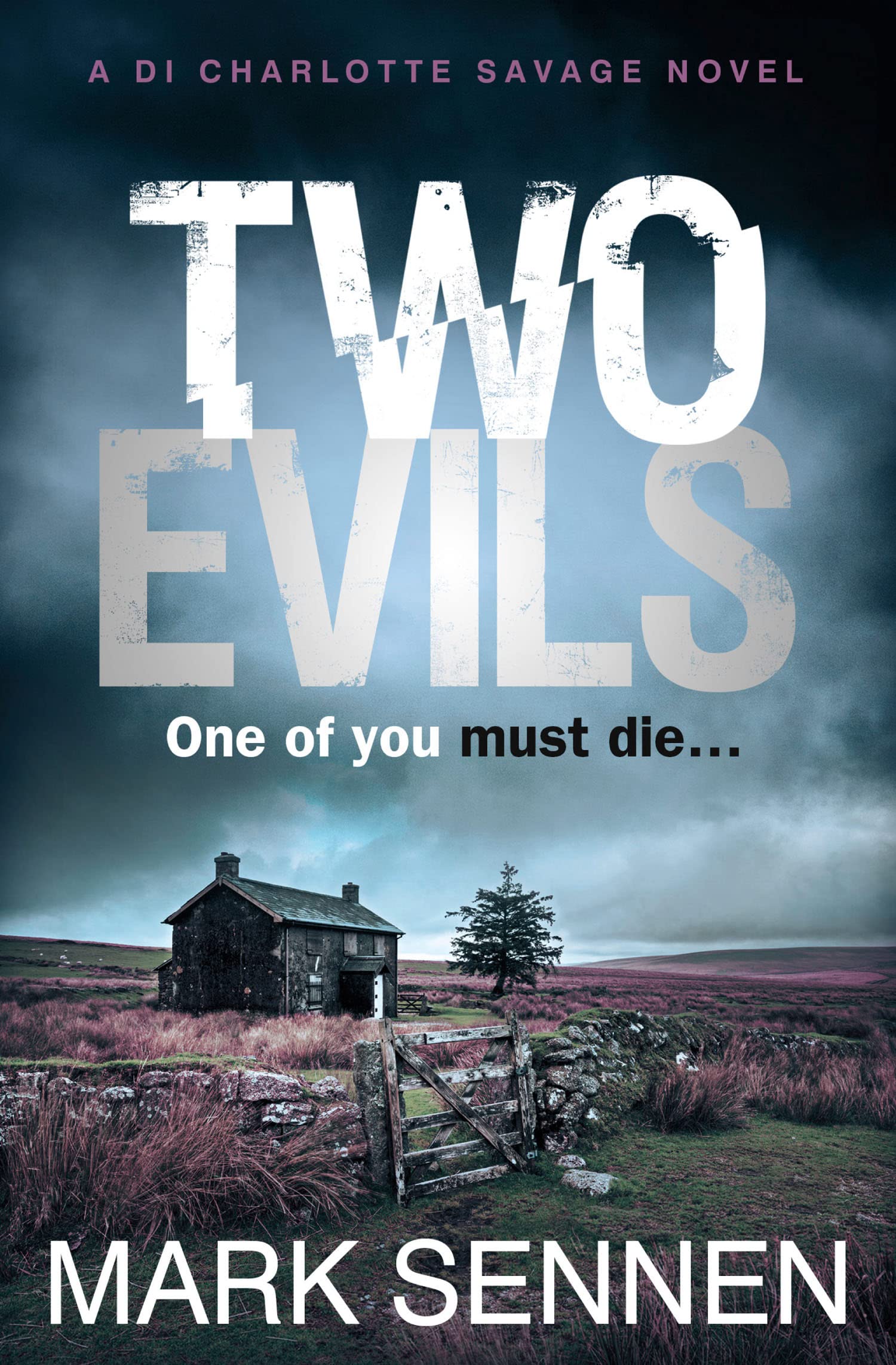 Two Evils, Fiction – Crime and , Paperback, Mark Sennen