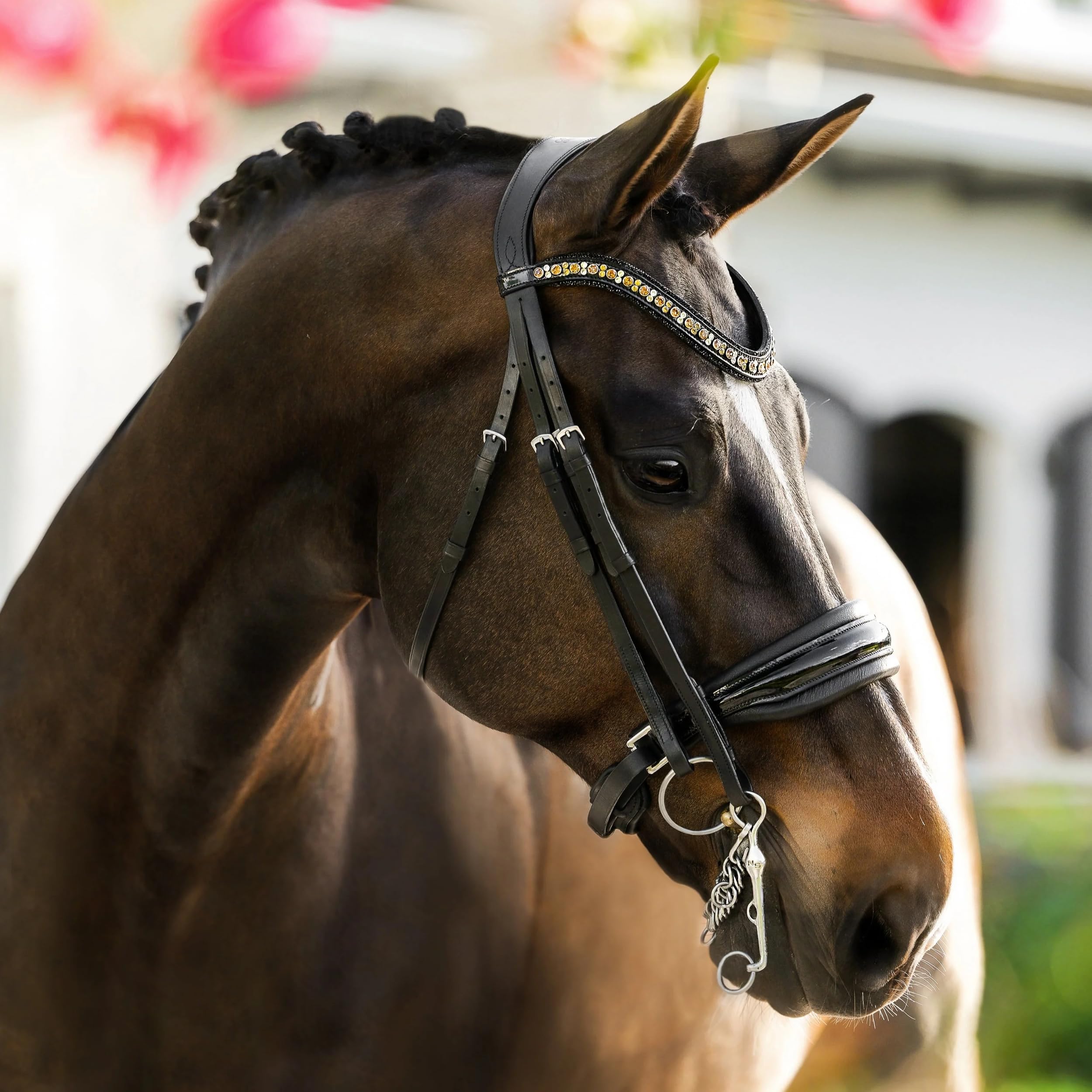 CHALLENGER Horse Western English Leather Bitless Sidepull Bridle w/Split Reins 77RS10BK