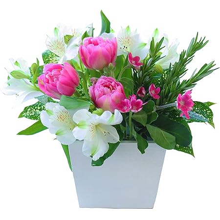 Amazon 花 ギフト 母の月 プレゼント 高級 フラワーアレンジメント 生花 お祝い 誕生日 フラワーデザイナーおまかせ 5月11日 以降にお届け ピンク系mサイズ 花束 オンライン通販