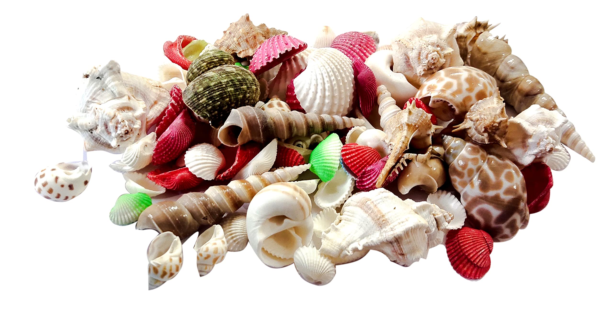 ZEINOO Natural Mix Sea Shell (200 gm)