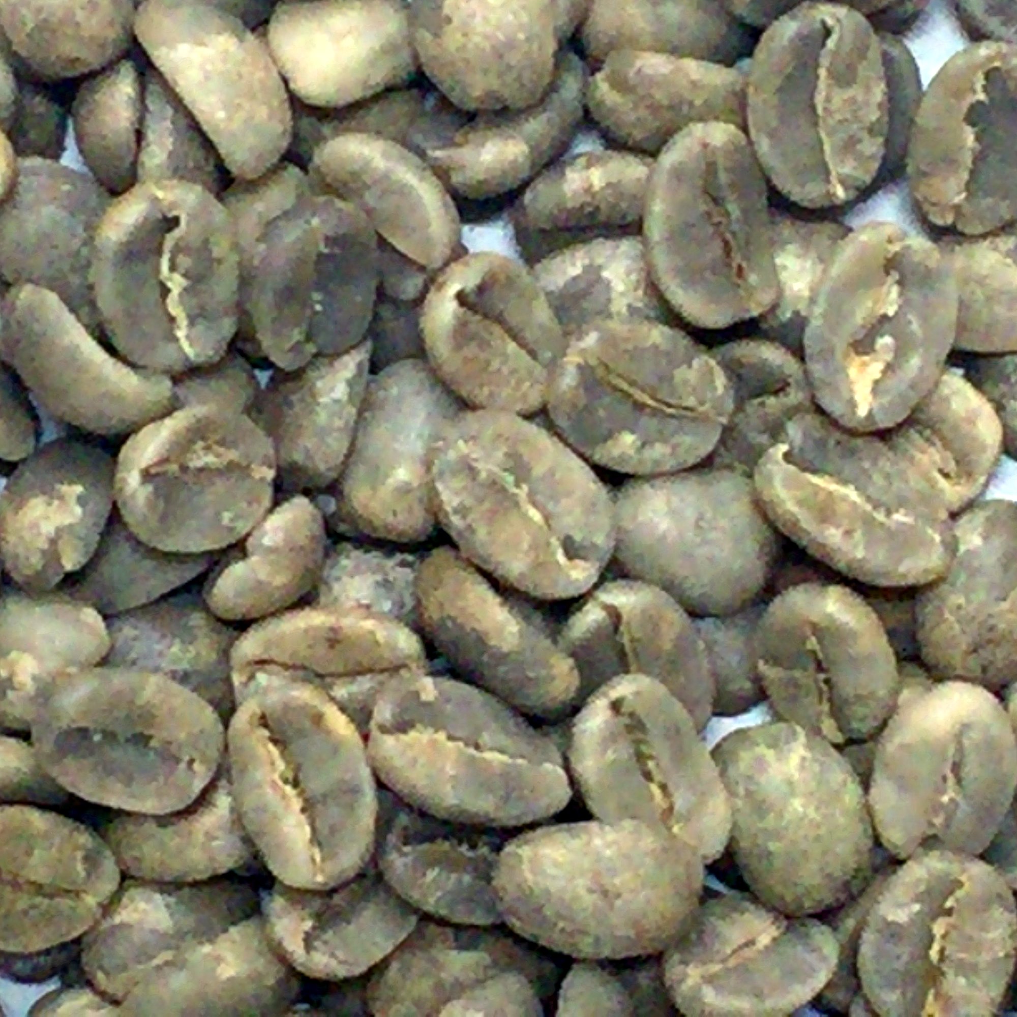 Tanzania Single Origin Green Coffee Beans, Arabica Hand Picked AA Grade (Mount Kilimanjaro Makidi, 5kg)