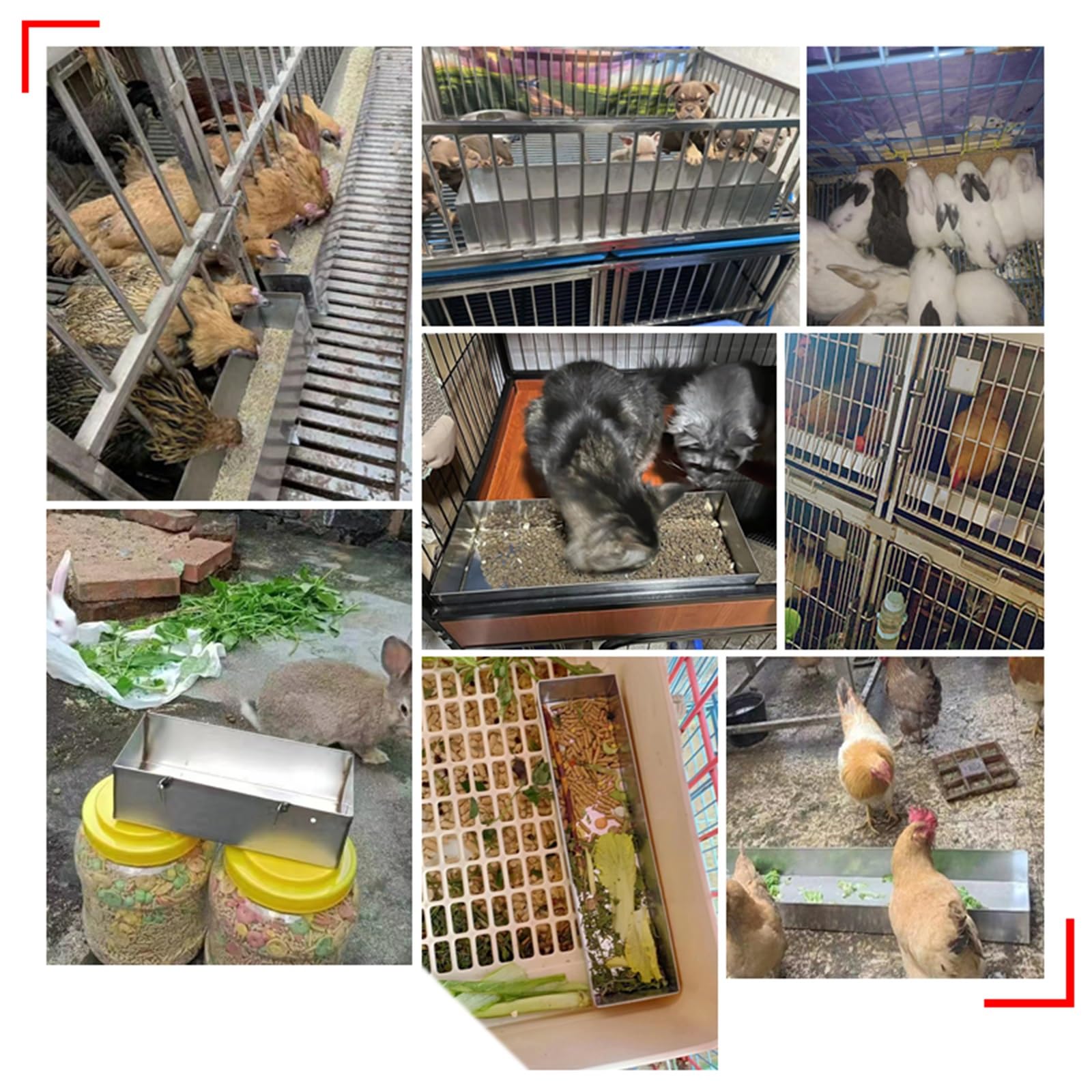 Comedero Colgante de Acero Inoxidable para Aves de Corral, Patos, Conejos y pájaros: diseño Duradero y Resistente a la corrosión para una alimentación e hidratación Sencillas.