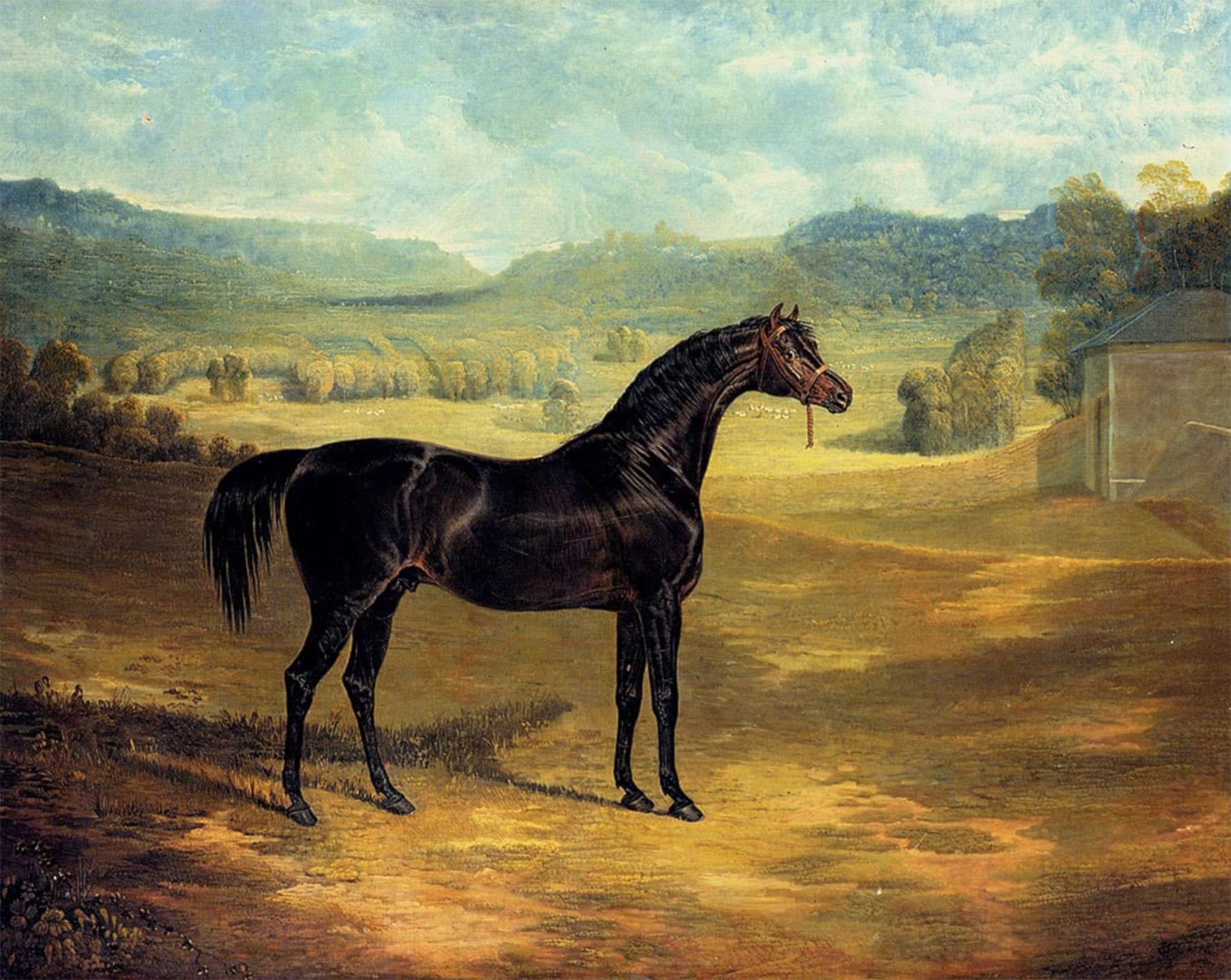 SERENDIPITP Retro Picture Poster Wall Art Pictures Painting The Bay Stallion Jack Spigot John Frederick Herring Snr Wall Art Canvas Print for Wall Decor 60x90cm