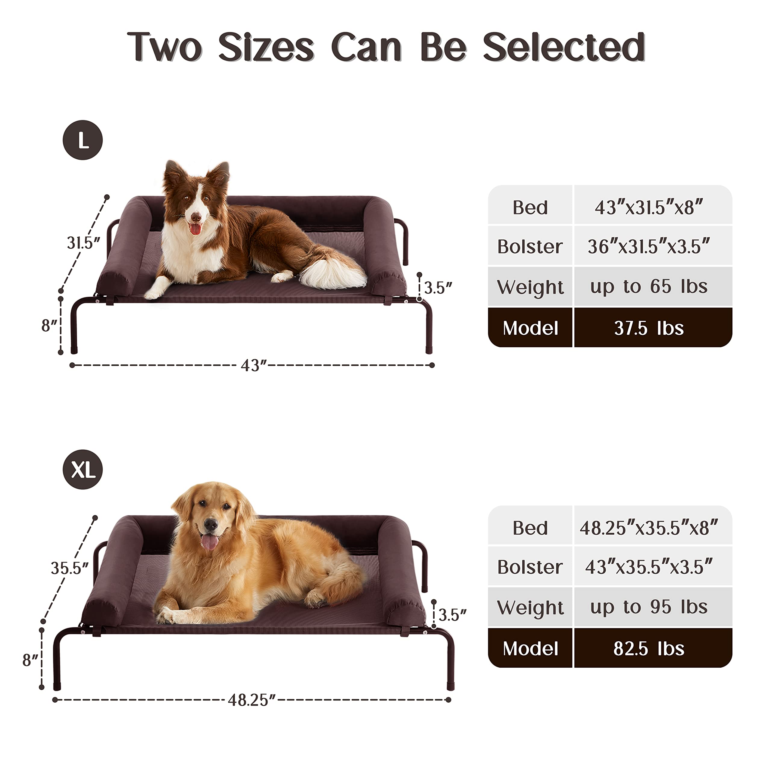 https://m.media-amazon.com/images/I/81uxOGzA9BL.jpg
