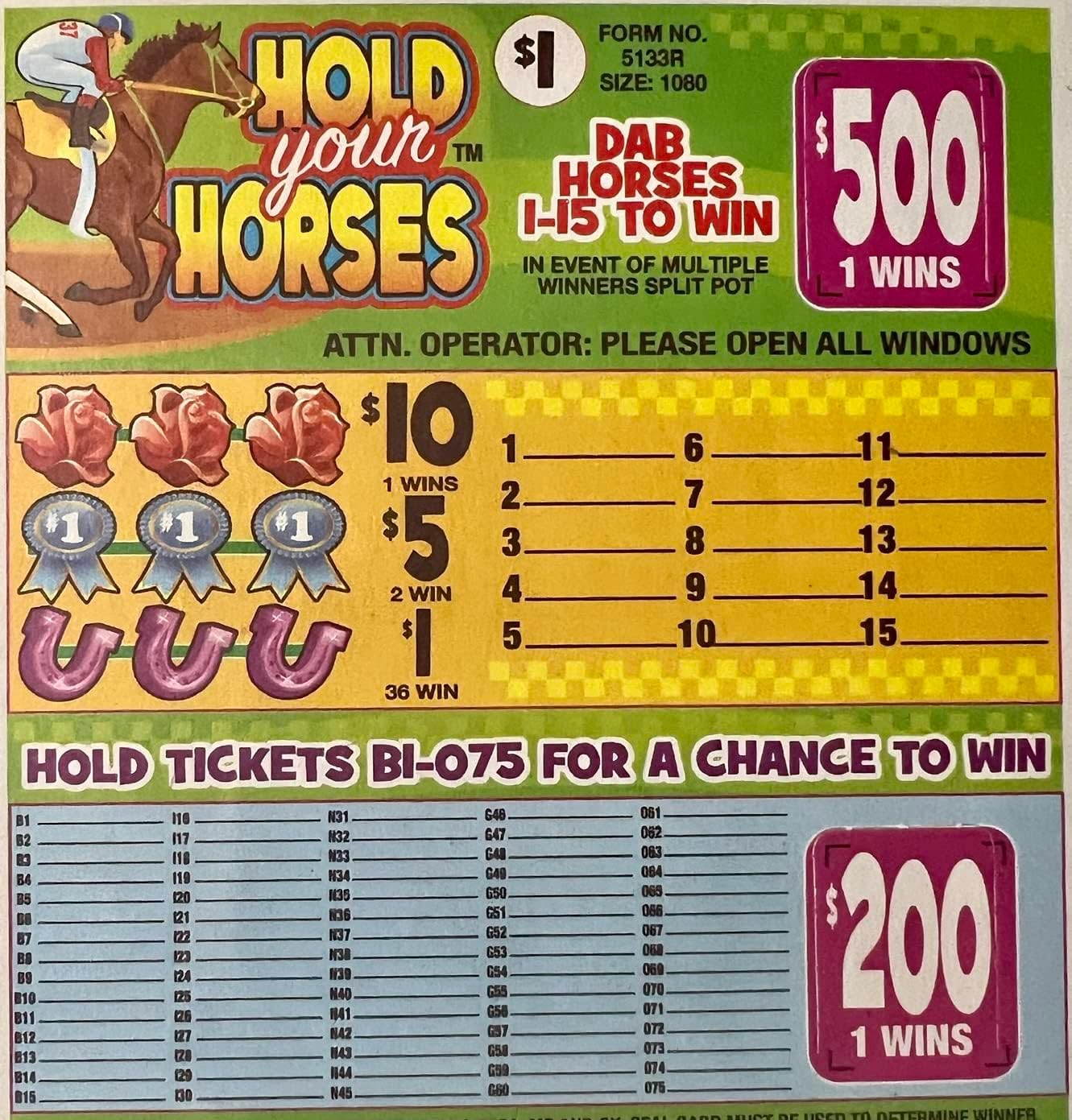 Hold Your Horses 500/200 Bingo Pull Tabs Games Toys & Games