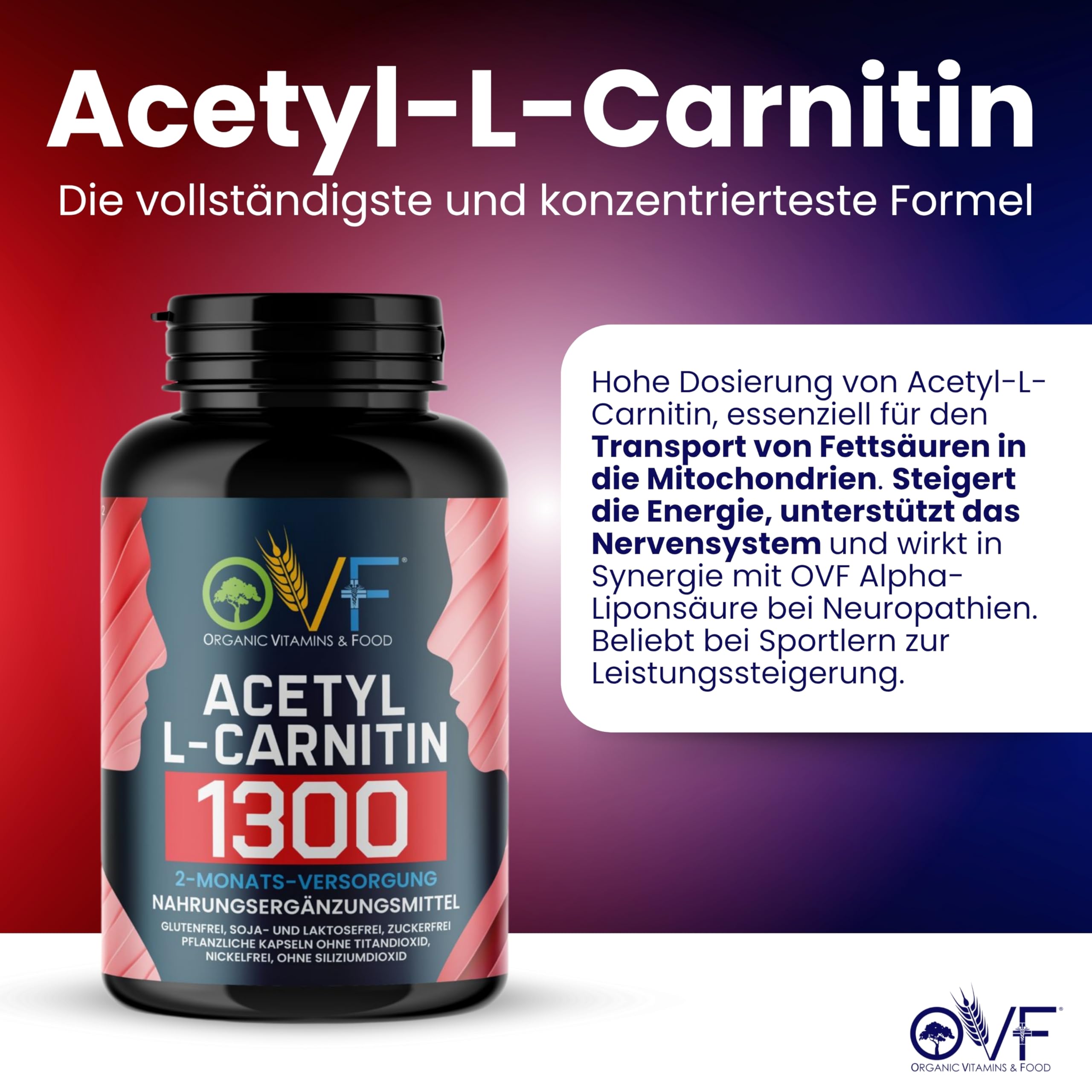 einnahme l carnitin OVF, Acetyl Carnitine 1300 mg 120 Capsules, L Carnitine Capsules High Dose, Increases Energy Production and Promotes Fat Metabolism, No Silicon Dioxide, Made in Italy, 2 Month Supply Health 4Ever Young Anti-aging Clinic skin dullness Size:1 pack