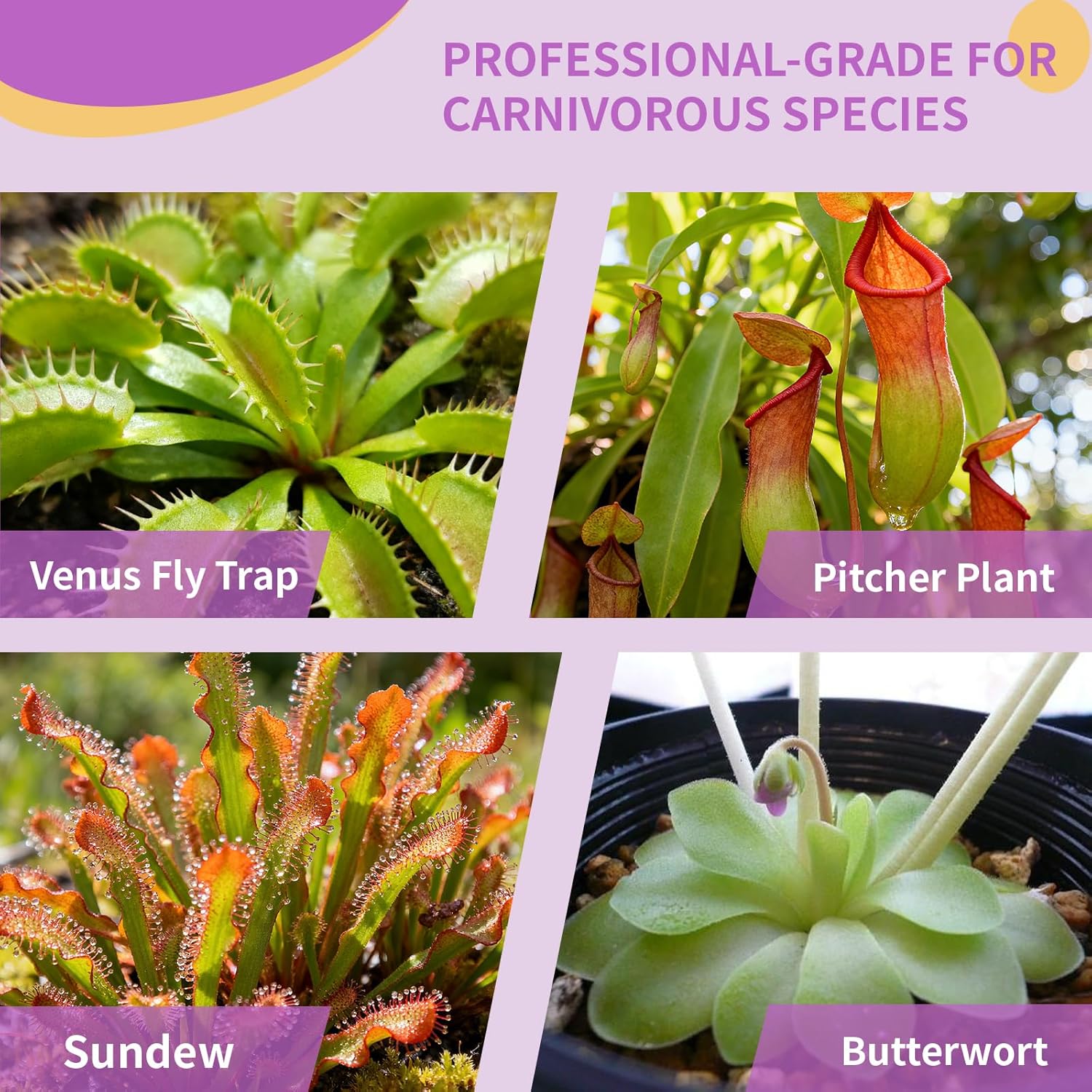 Premium Carnivorous Plant Soil for Venus Fly Trap Live Plants 10qt | New Upgraded Formula with High Drainage & Breathability