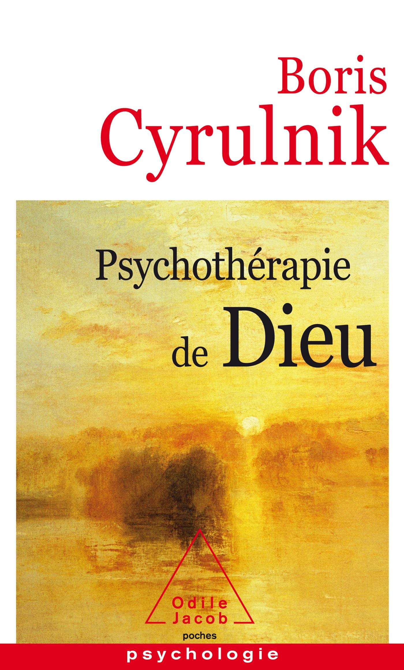 Psychothérapie de Dieu (Oj.Poche Psycho)