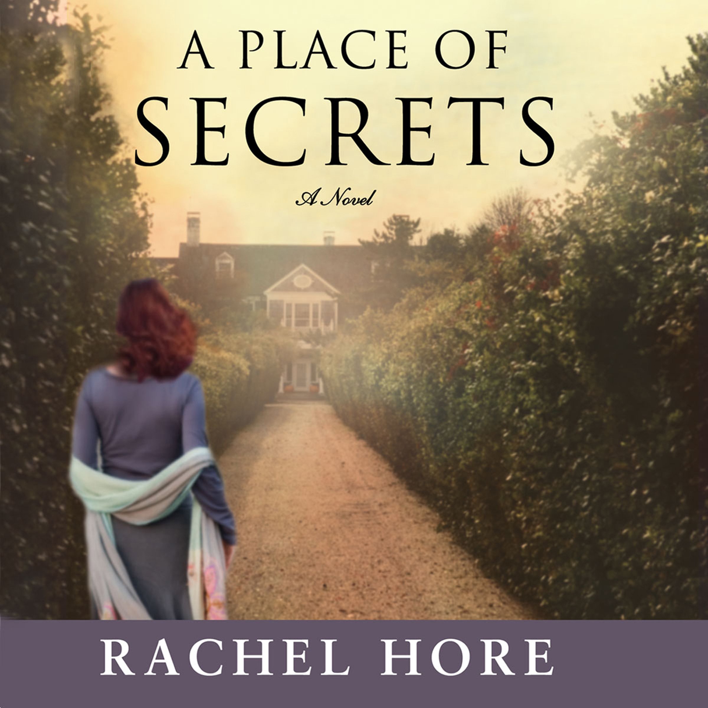 Cover art for A Place of Secrets