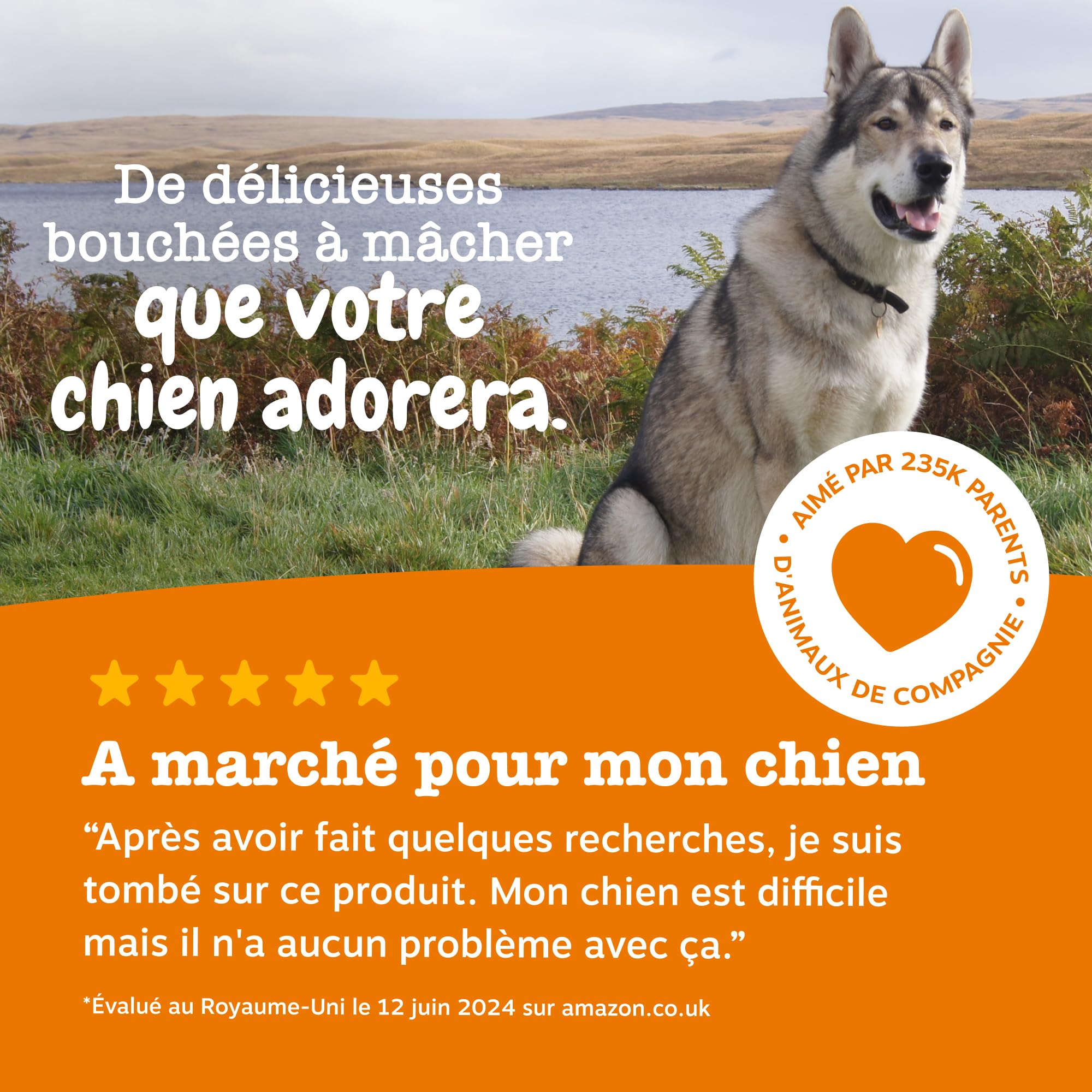 Zesty Paws Bouchées Soin Urinaire Chien | Voies Urinaires, Immunité, Équilibre du pH | Cranberry, D-Mannose, Vitamine C | Saveur Dinde | Usage Quotidien | 90 Bouchées