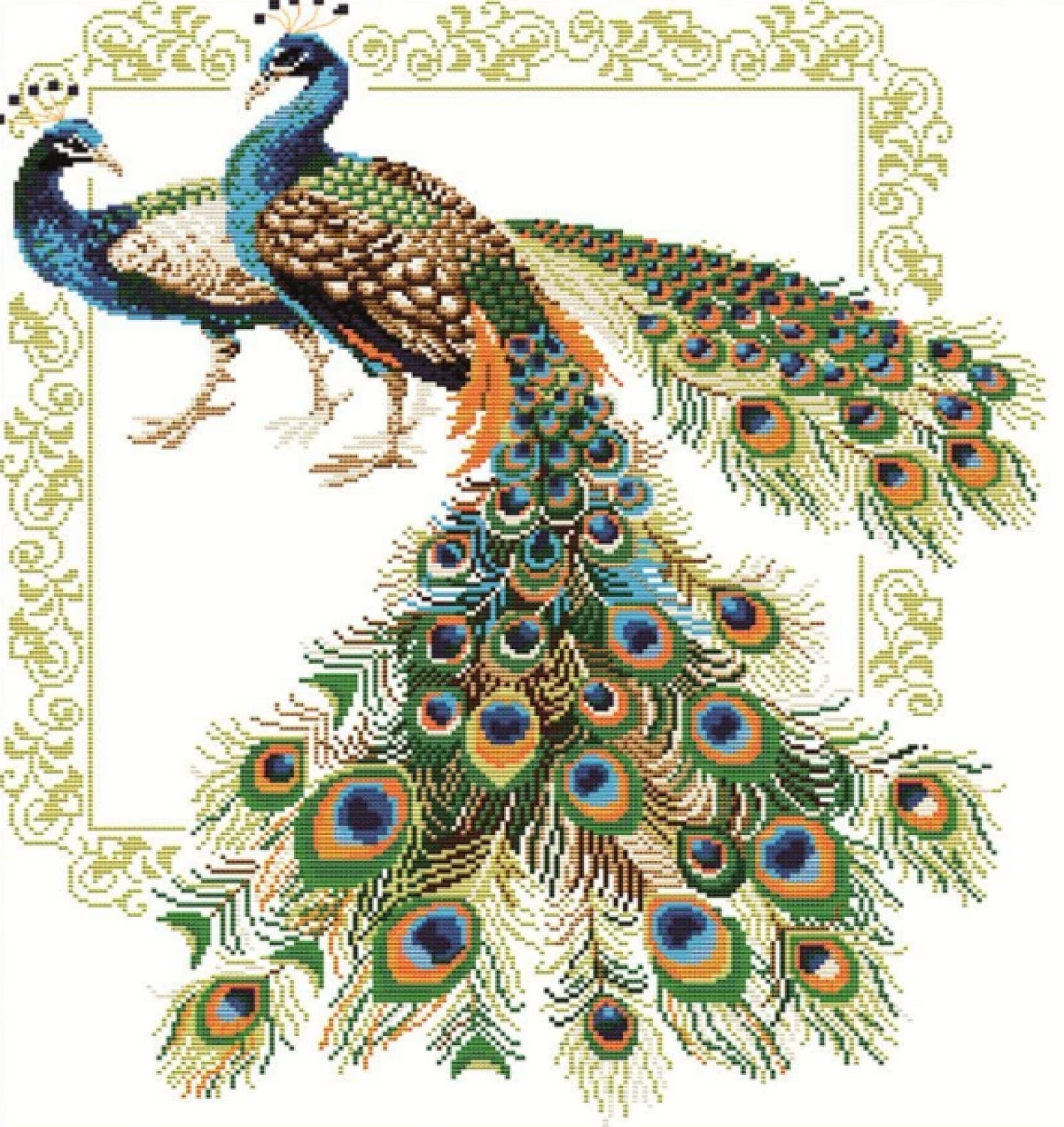 AMBATTERY Kit Punto De Cruz Esquemas Principiantes Tela Impresa, Hermoso  Pavo Real,H,30 * 40cm, image size:1600x1695