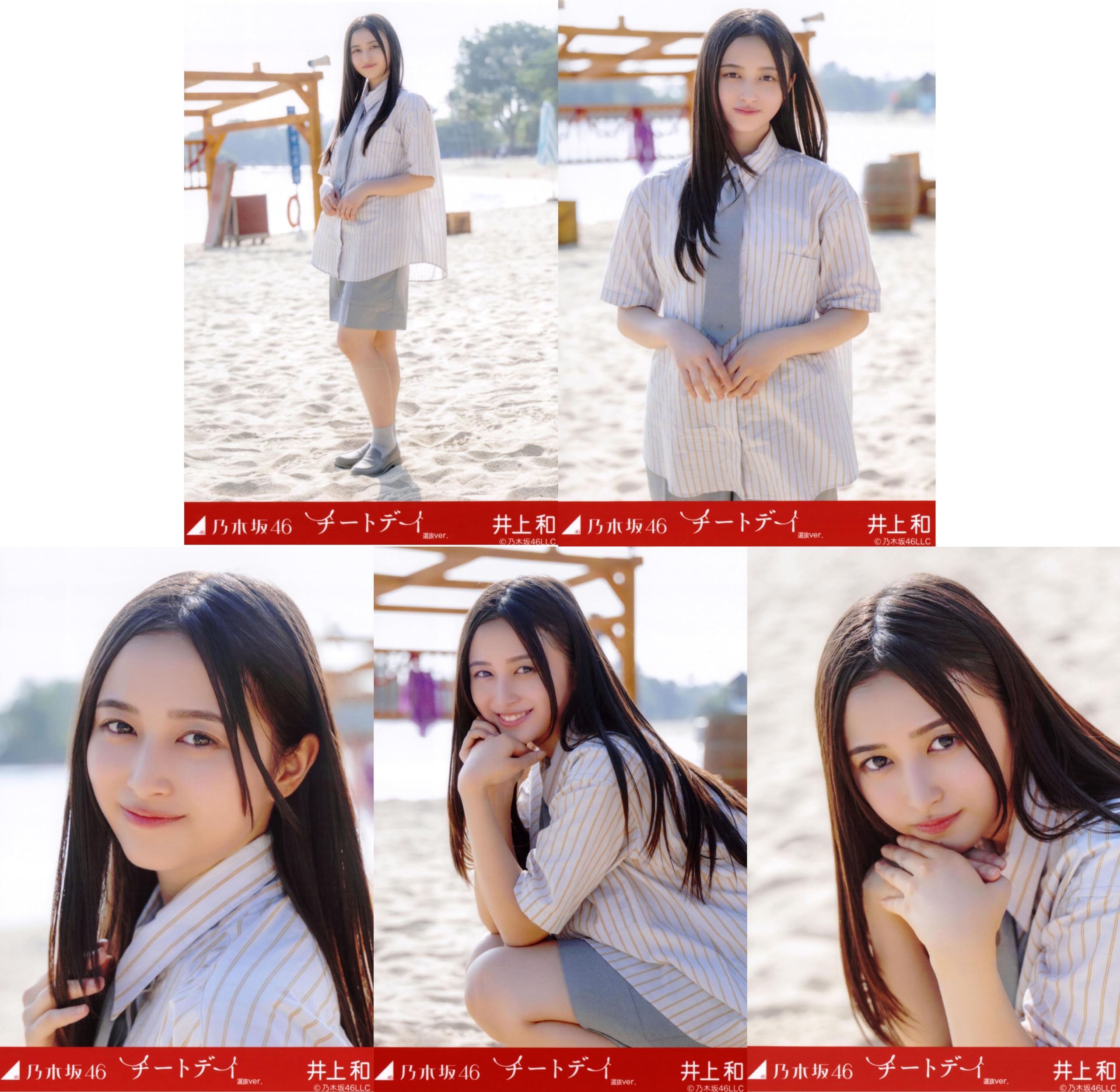 乃木坂46 生写真　井上和　コンプセット　チートデイ　チャンスは平等 乃木坂46 生写真 井上和 コンプセット チートデイ チャンスは
