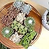 Product Photo 2