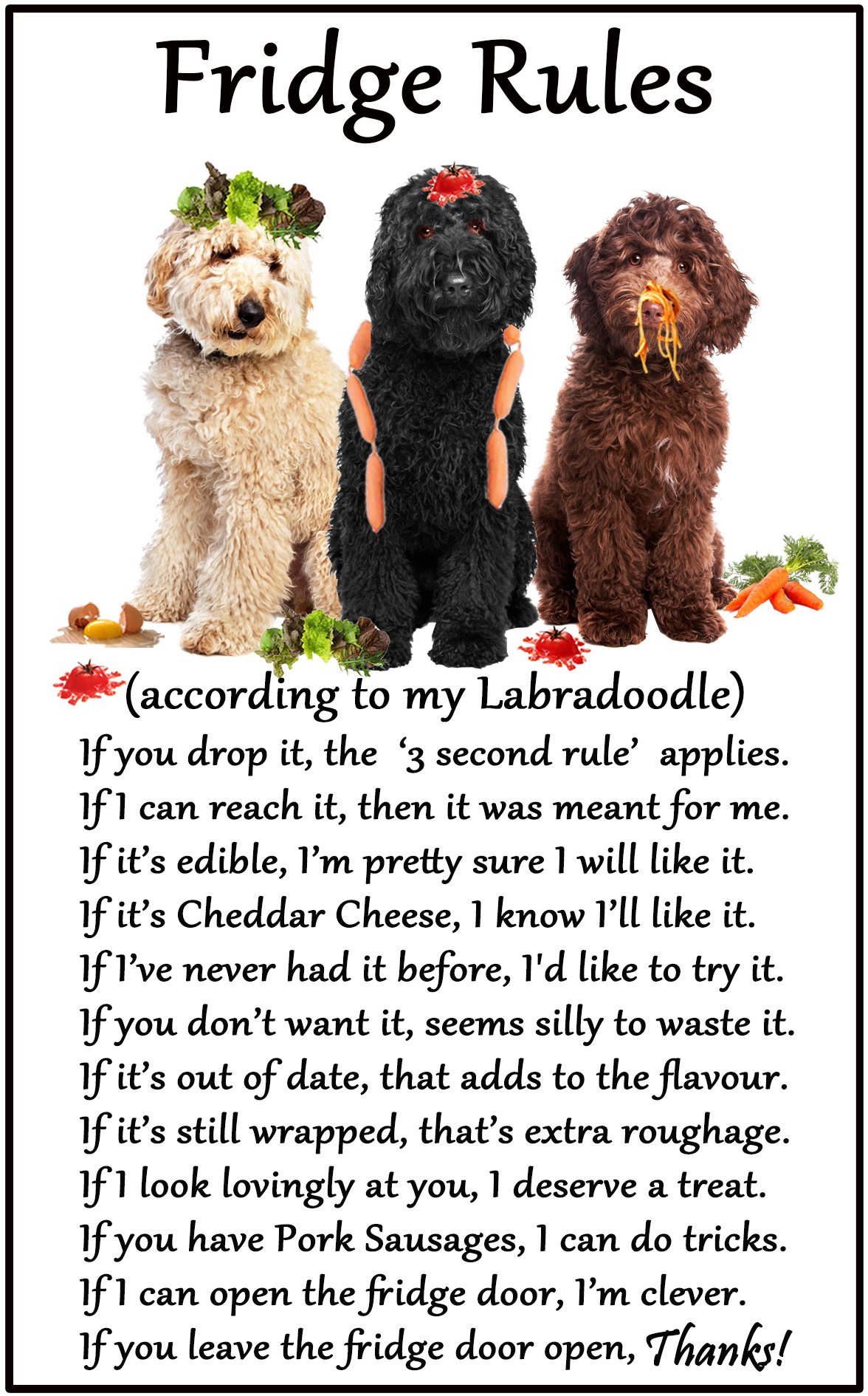 Fridge Magnets Multicolor Labradoodle Gift - Fridge Rules - Large Flexible Fun Fridge Magnet- Size 16Cms X 10 Cms (Approx. 6" X4")