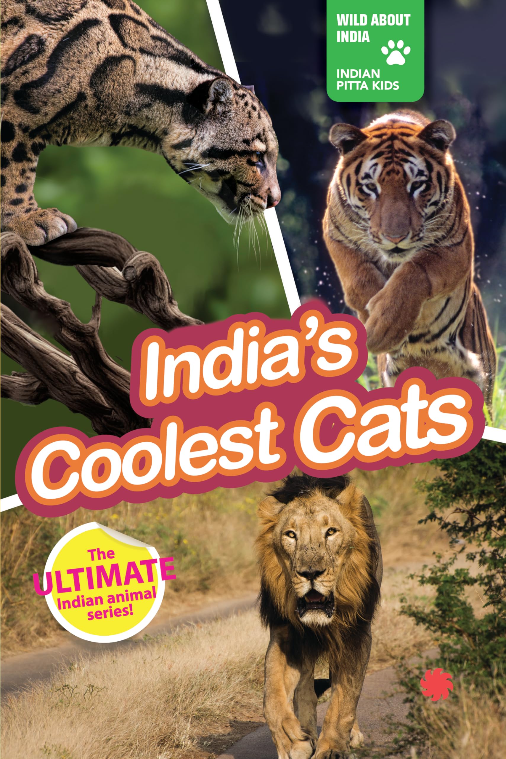 India's Coolest Cats (Wild About India)