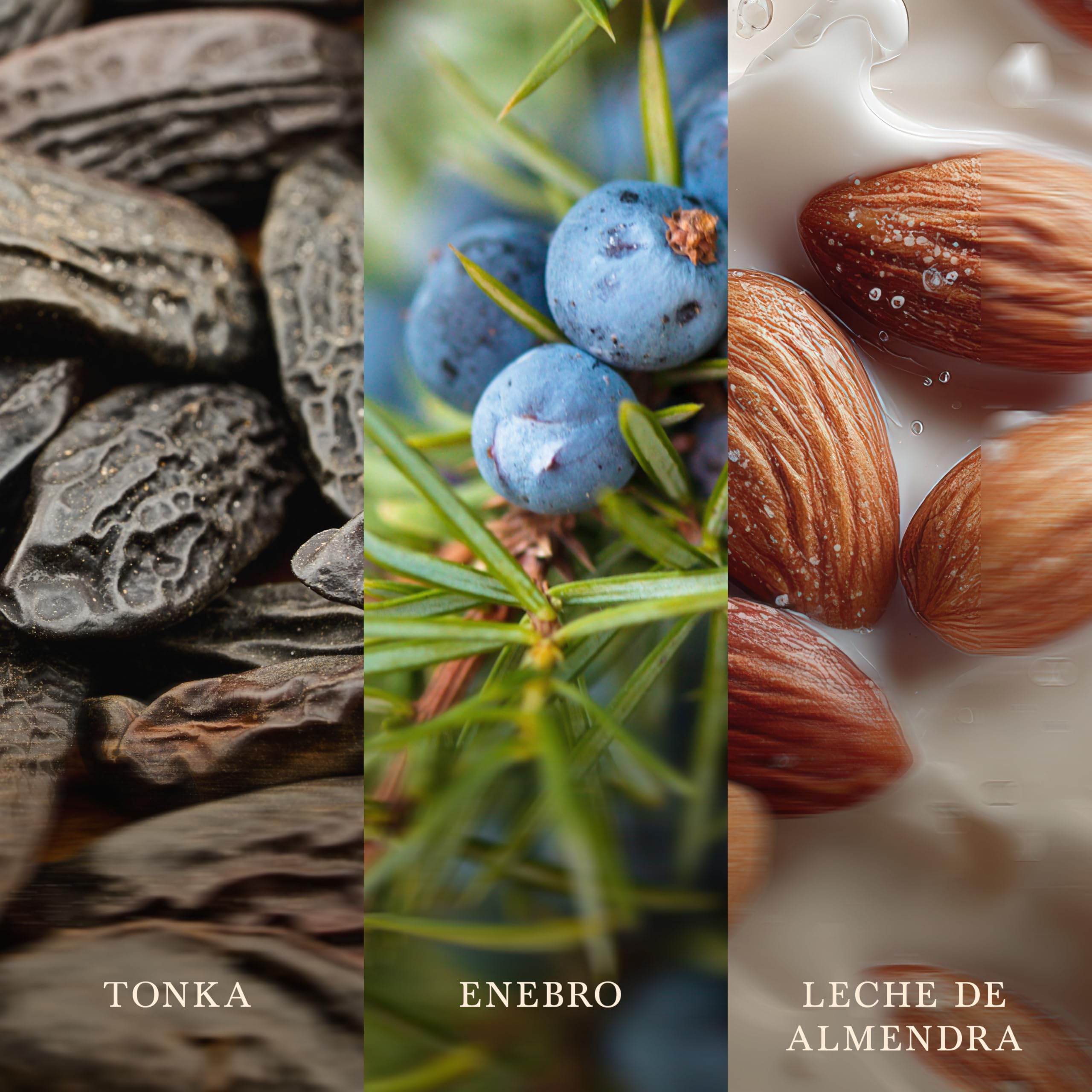 WoodWick | Świeca Elipse | Tonka & Mleko migdałowe | Świetny prezent dla kobiet