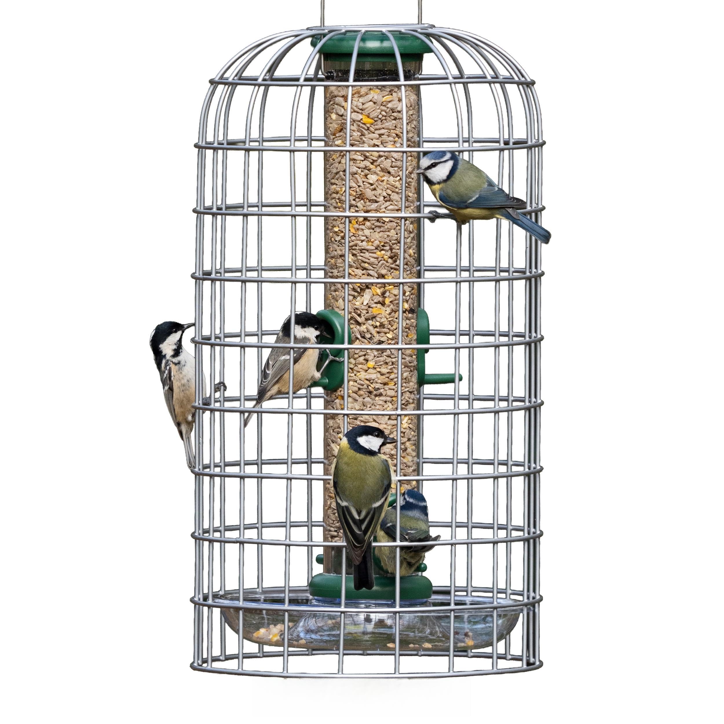 Birdfeeder Guardian Jacobi Jayne - Squirrel-Proof Bird Feeders UK – Hanging Bird Feeder Protection for Small-Bird Feeders for Small Birds Only - Medium, Silver