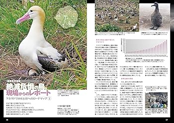 BIRDER（バーダー）2025年8月号 鶏（ニワトリ）と鶉（ウズラ
