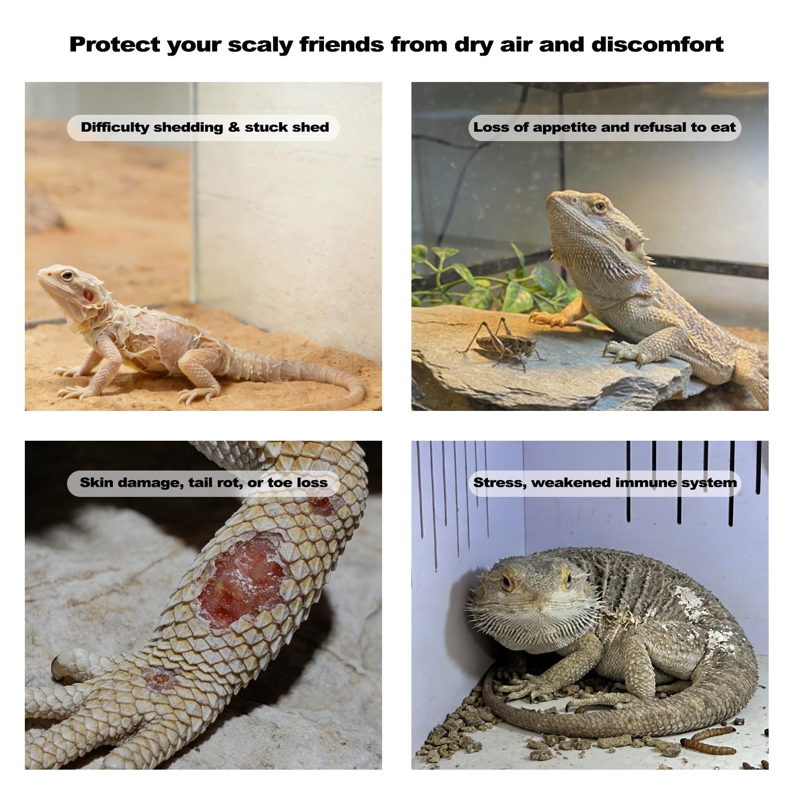 J&A Reptile Mister - Sistema de nebulización automático para tanque de reptiles y terrario, nebulizador automático con boquillas de pulverización ajustables, funcionamiento silencioso para lagartos