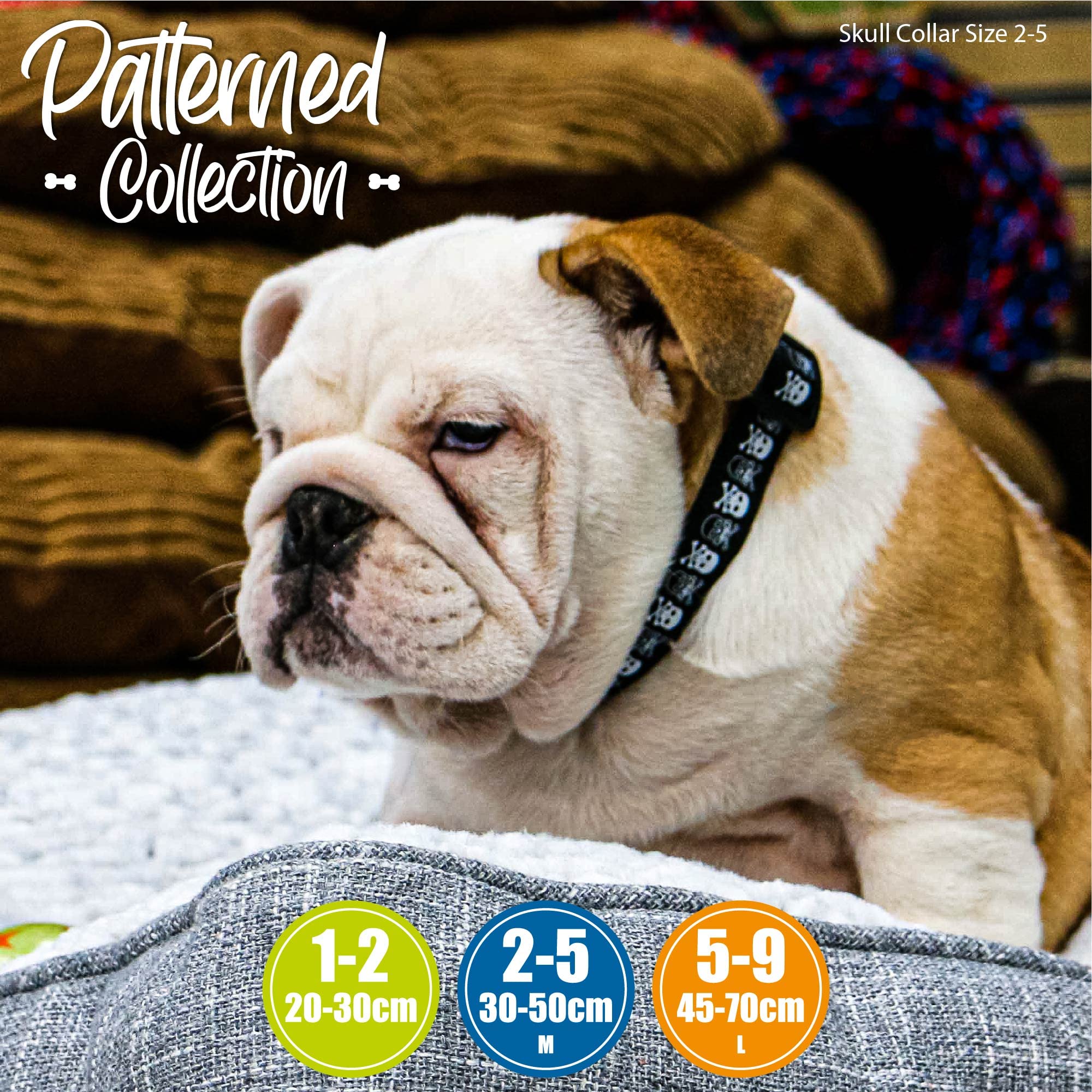 Ancol Skull Dog Lead, 1 m x 19 mm