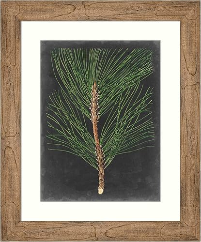 Miniatura 15 de Amanti Art Impresión artística enmarcada para pared, 44 x 36 pulgadas, dramático pino I de Vision Studio, arte de pared de naturaleza, decoración
