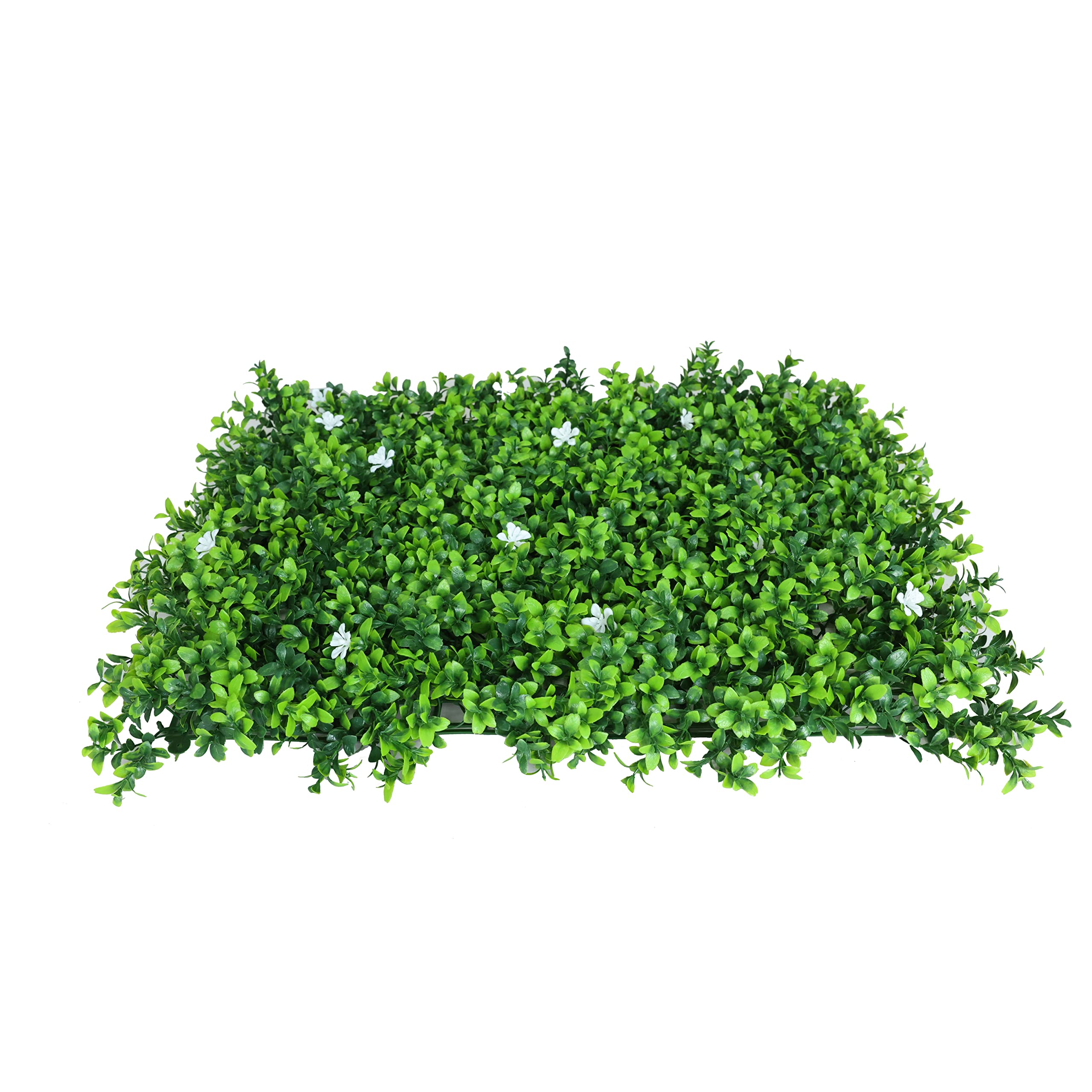 View 4