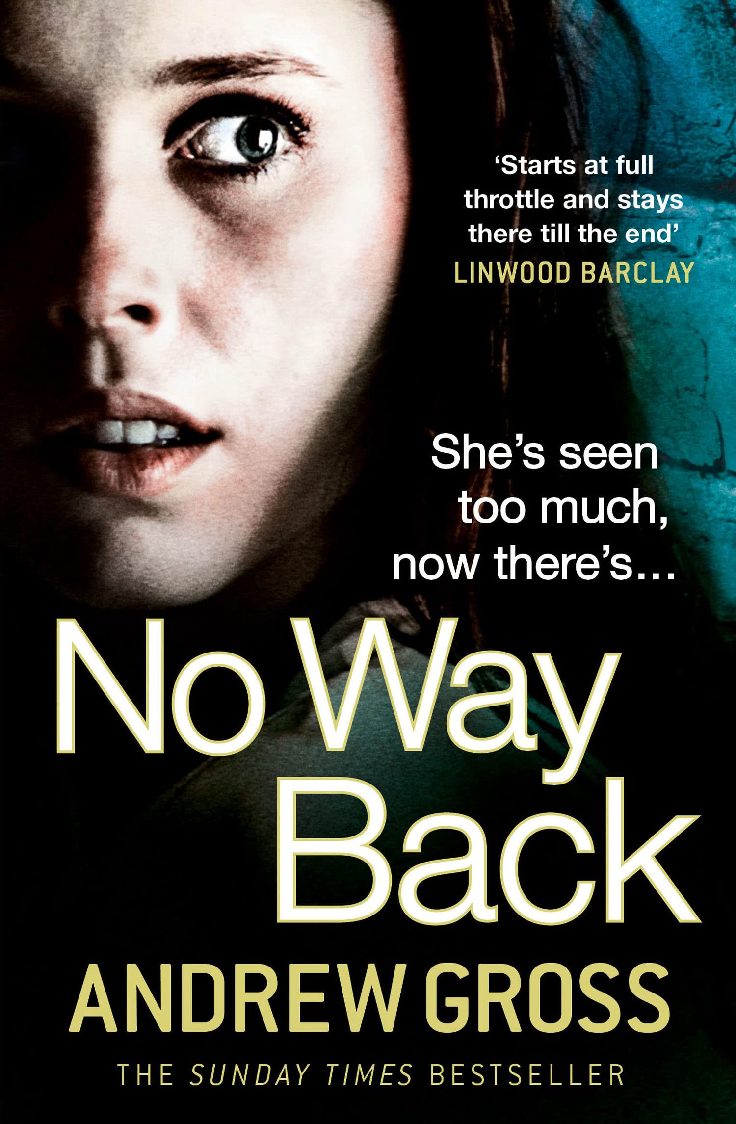No Way Back by Andrew Gross PAPERBACK 9780007489572