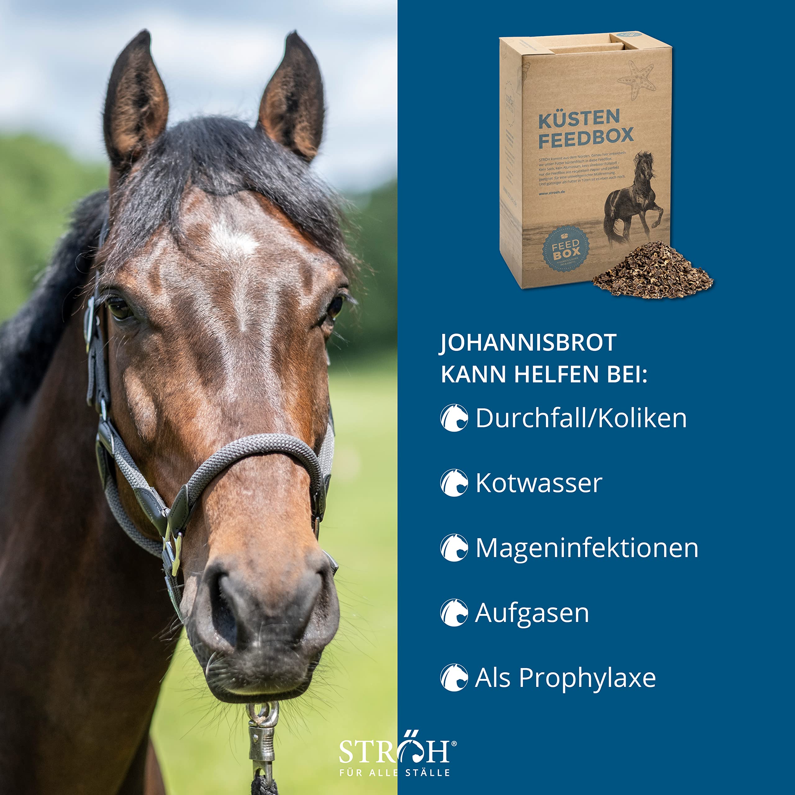 STRÖH Johannisbrot für Pferde - 26kg Feedbox - 100% Natürlich, ohne Zusätze | Bei Durchfall, Kotwasser, Darm- & Verdauungsproblemen - Mit Ballaststoffen - Natürlich süßer Geschmack - Wenig Zucker & Fett